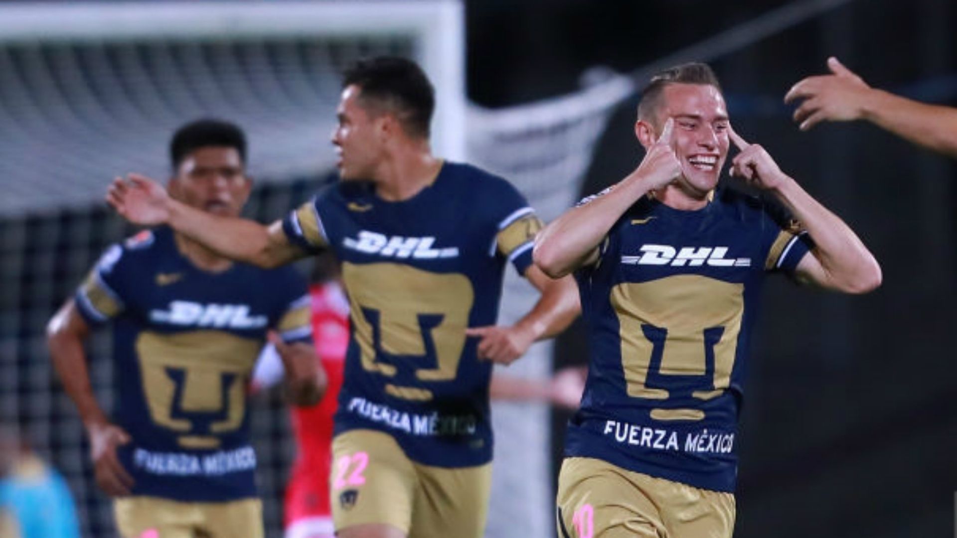 Pumas