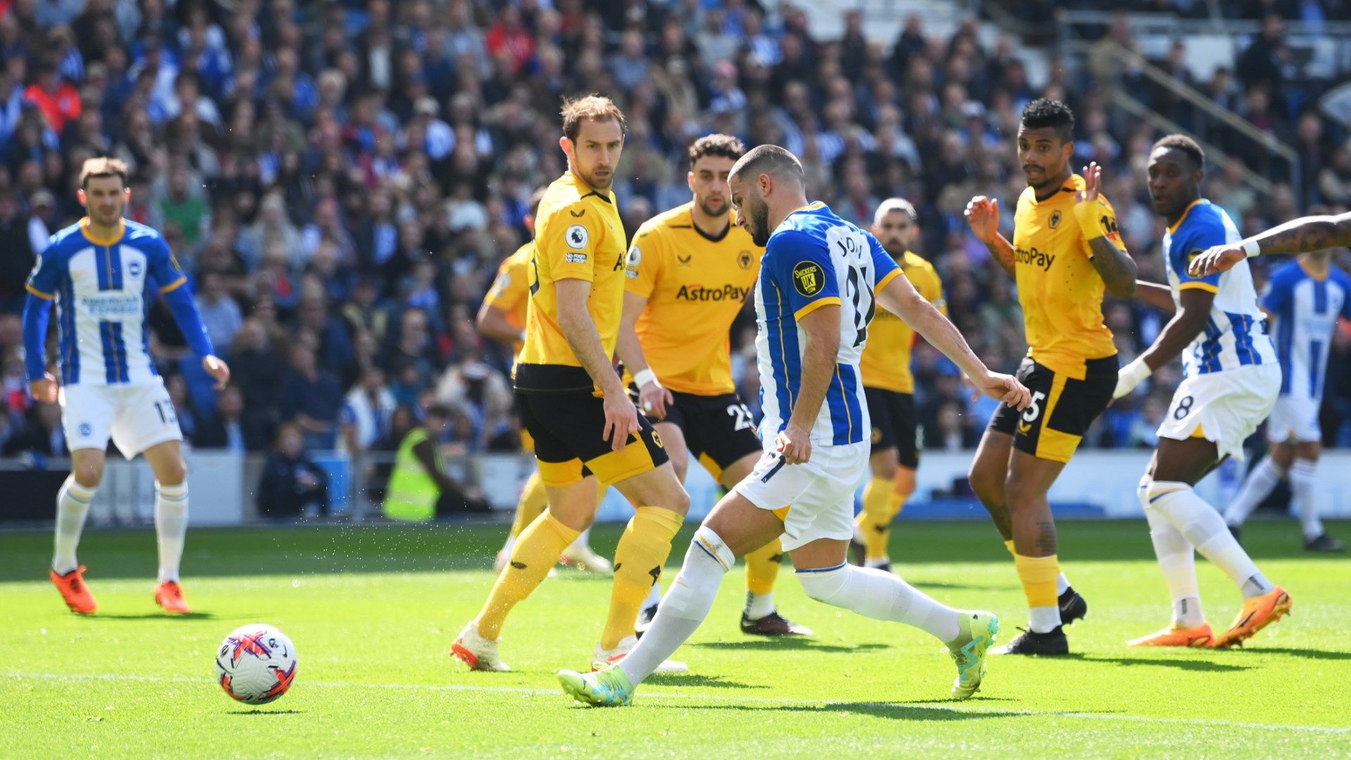 Brighton Wolves 2022-23