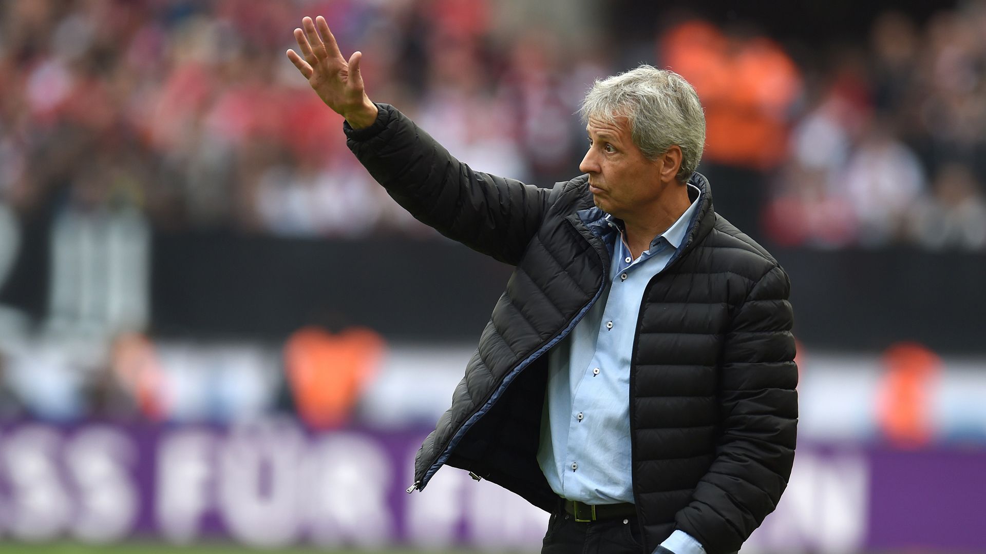 Lucien Favre Bundesliga Gladbach 09.19.2015