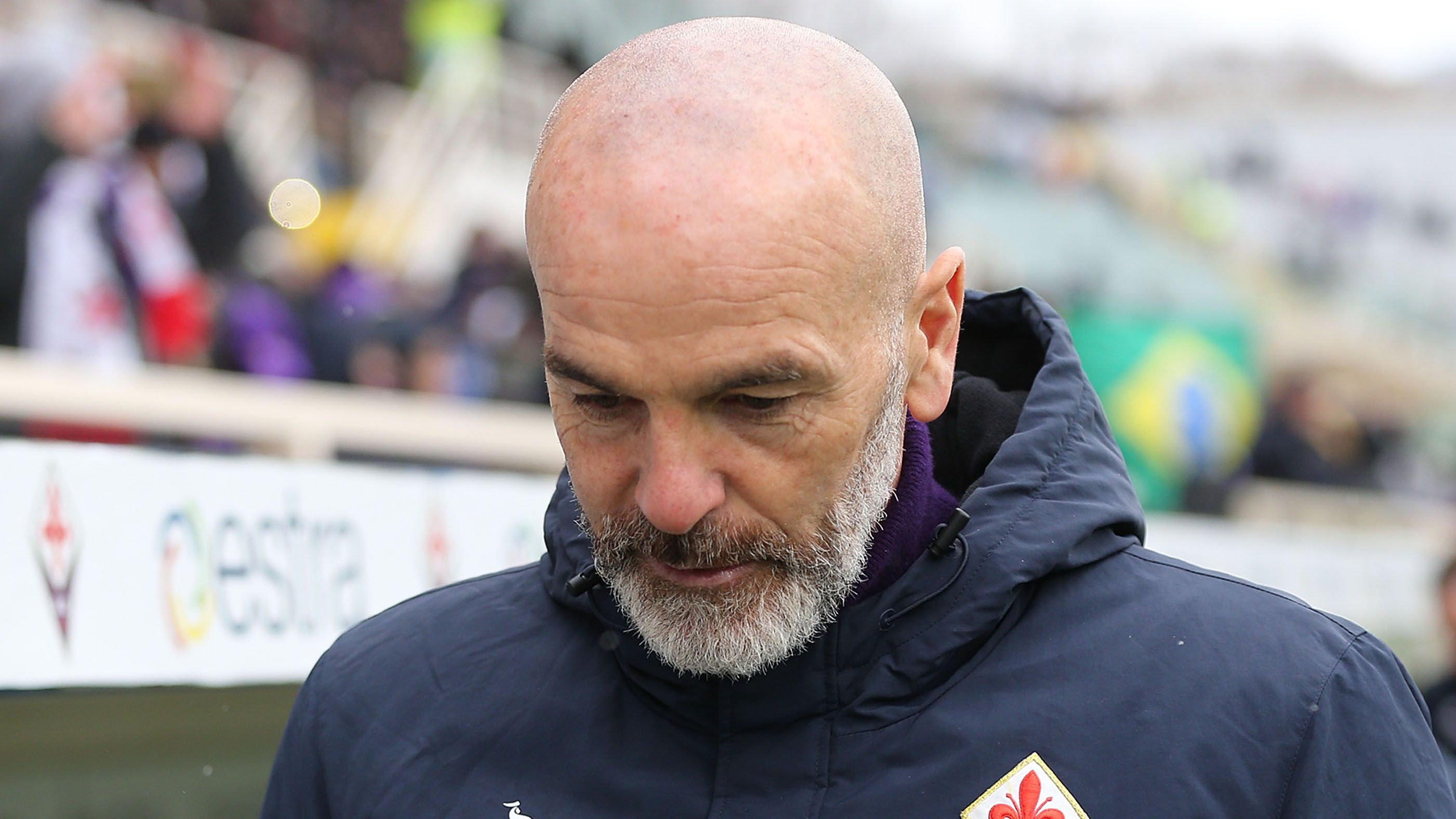 Stefano Pioli Fiorentina