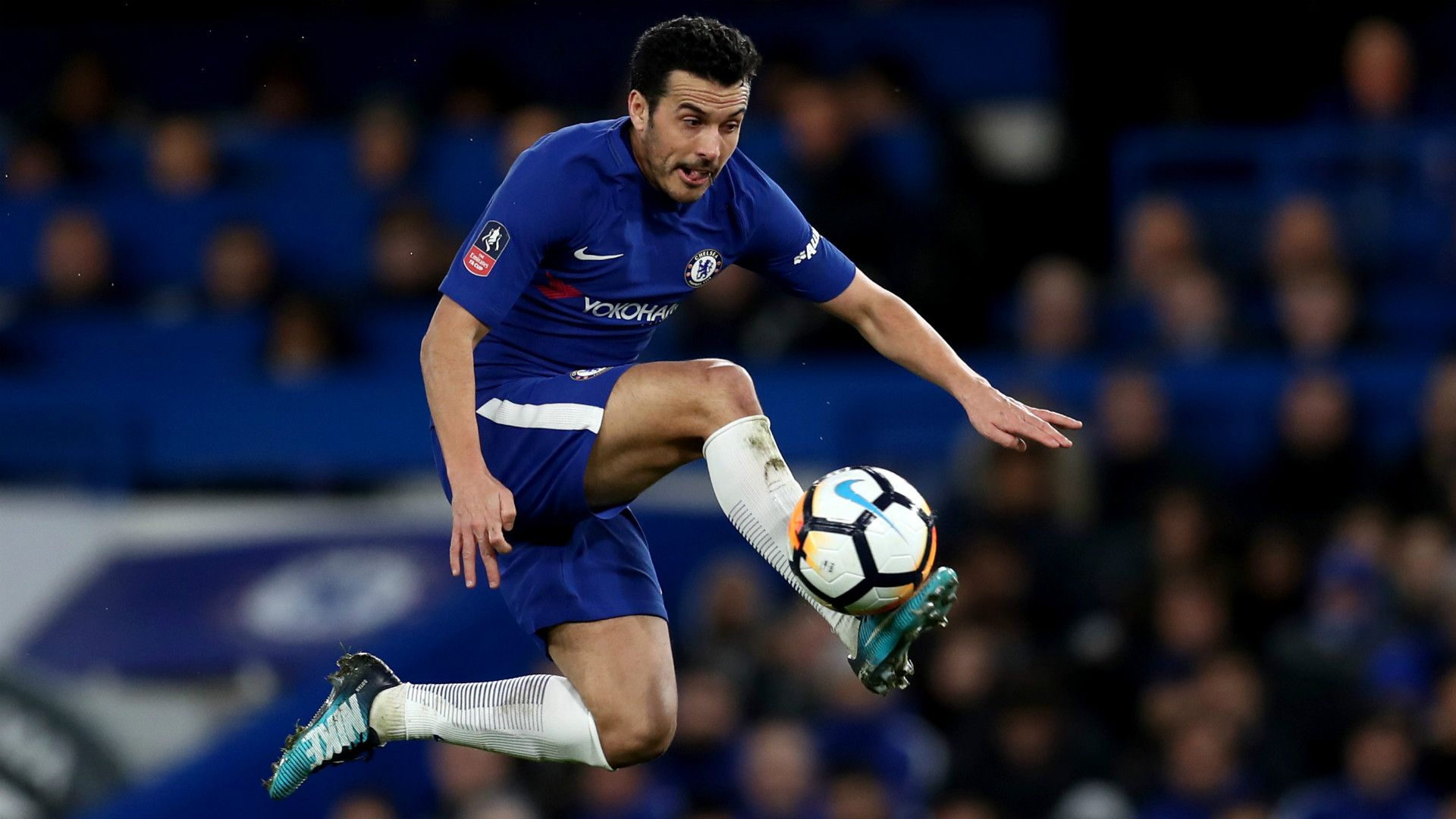 PEDRO CHELSEA