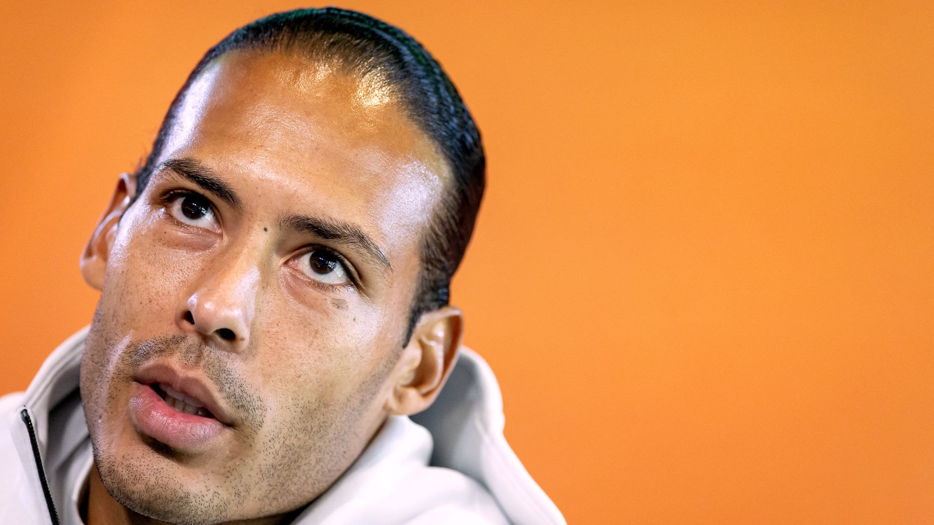 vandijk