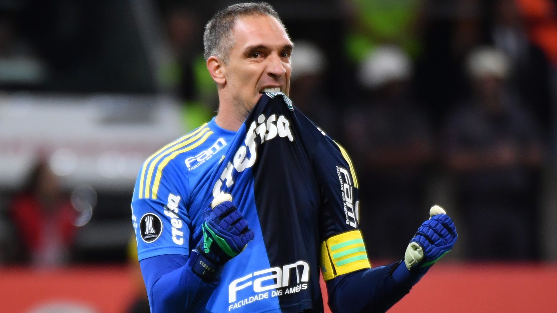 Fernando Prass Palmeiras Junior Barranquilla Copa Libertadores 16052018