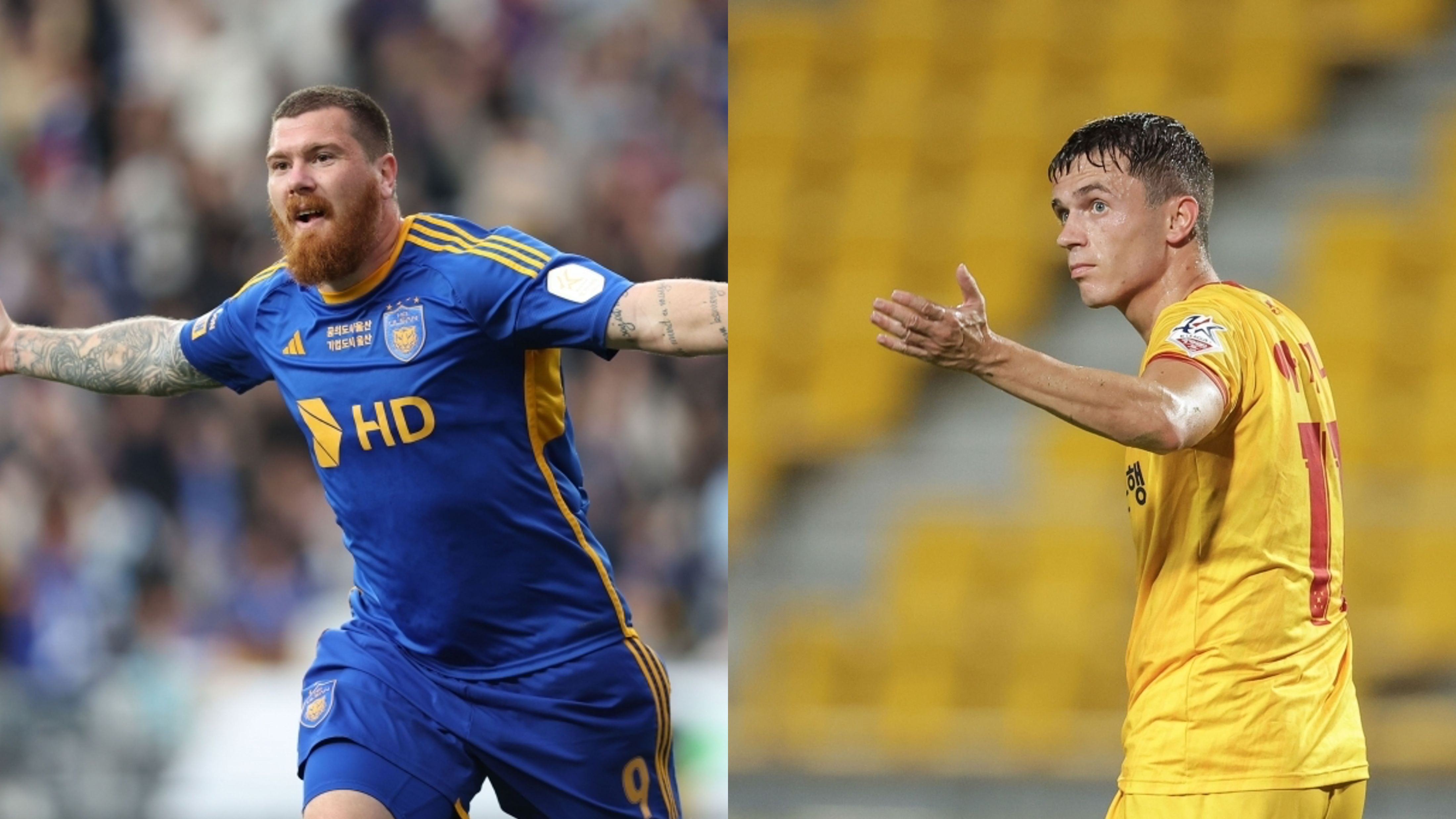 마틴 아담 아사니