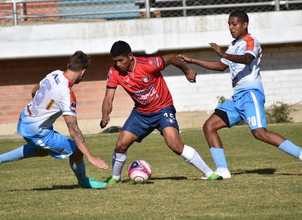 Wilstermann Blooming