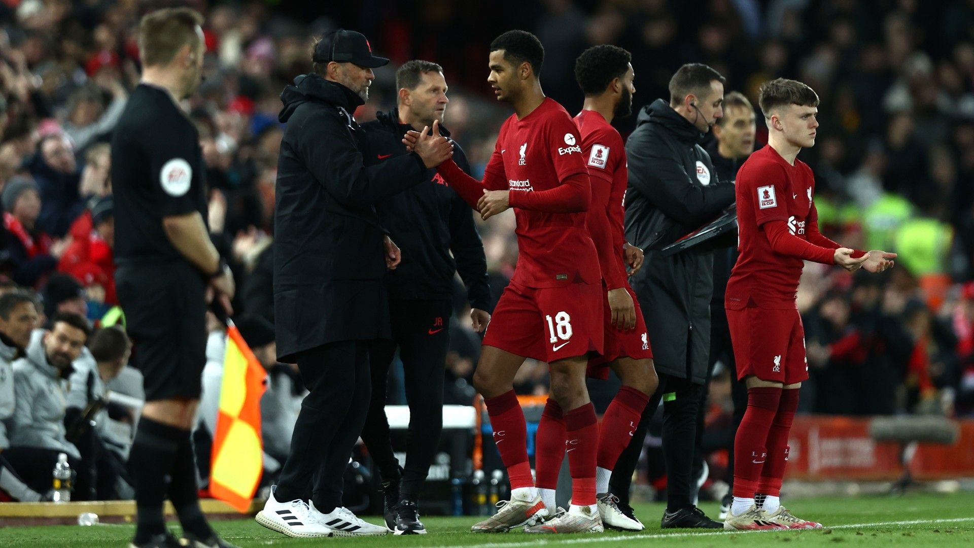 Cody Gakpo Liverpool