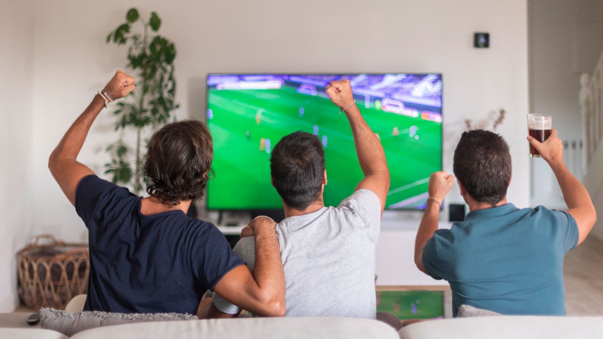 Fútbol argentino TV Pública