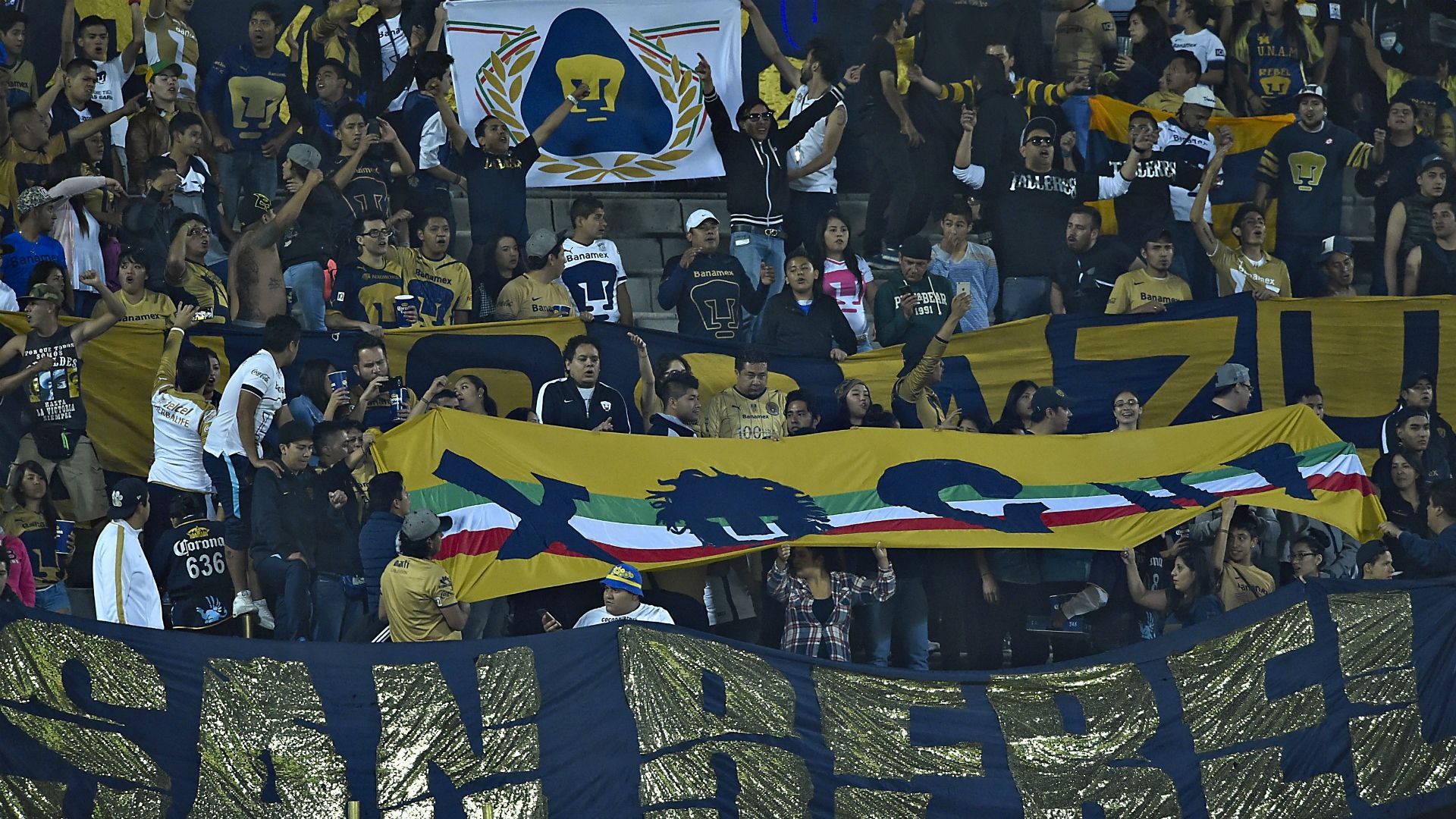 Pumas fans