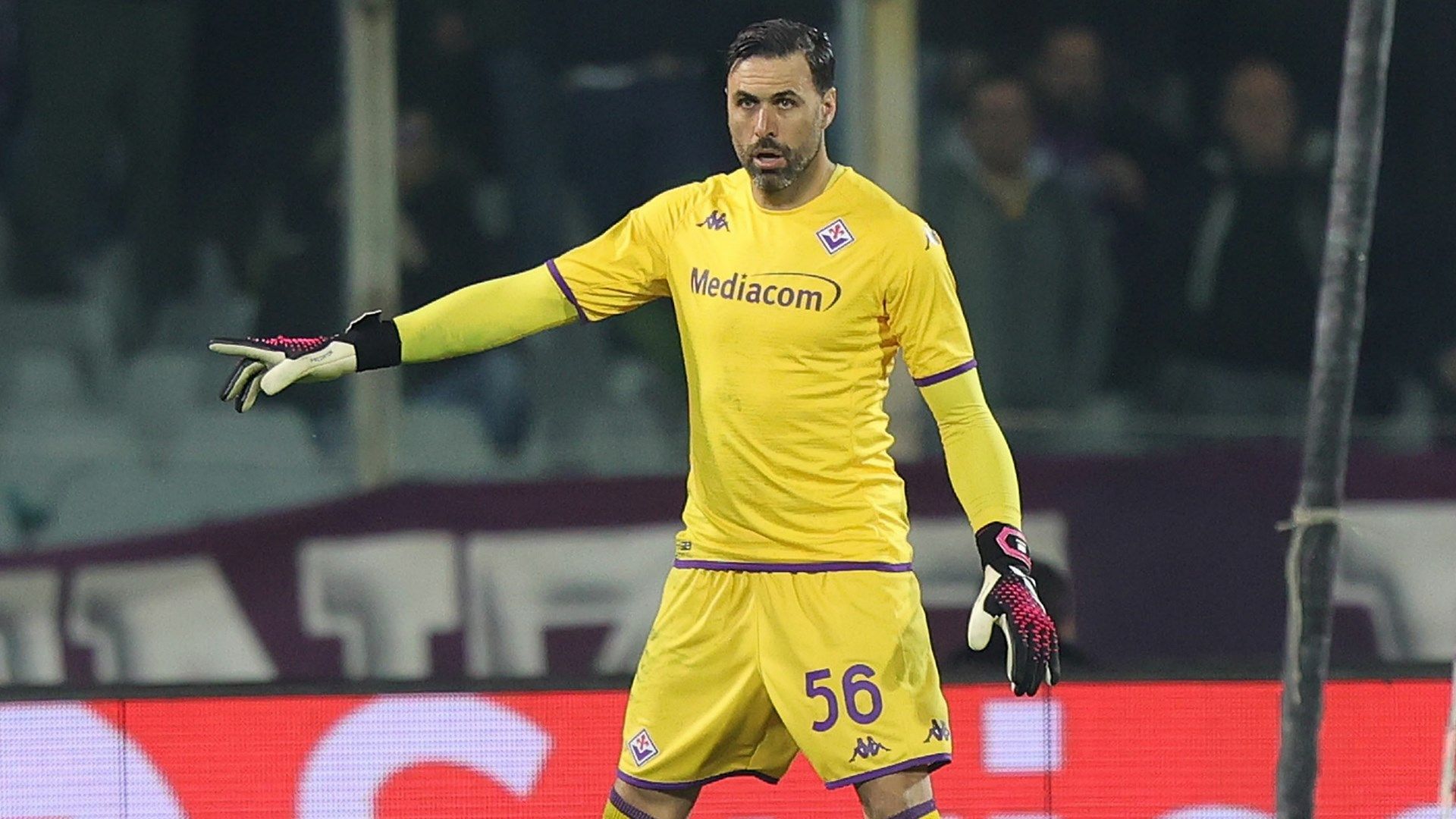 Sirigu Fiorentina