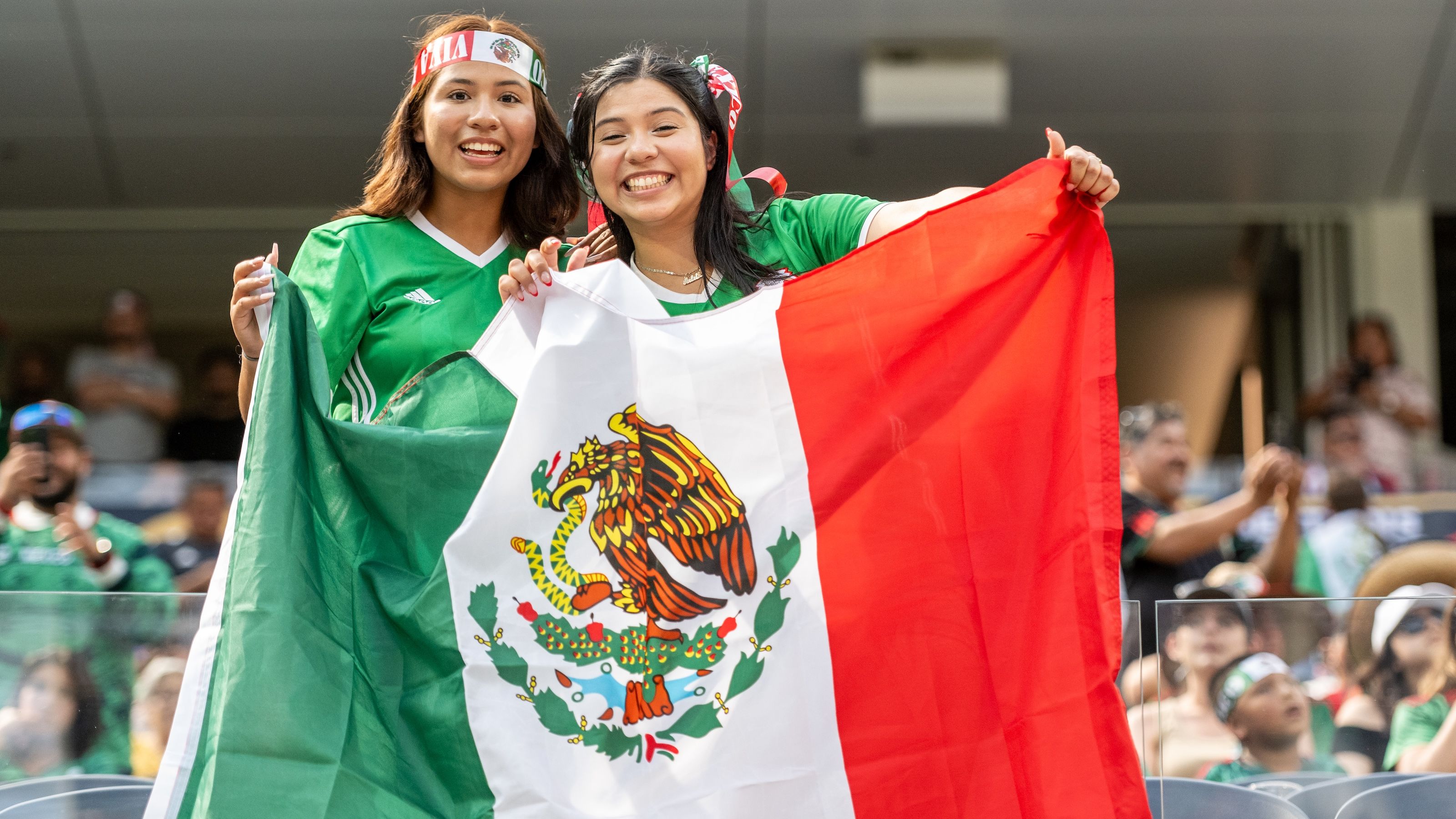 Mexico national team fans
