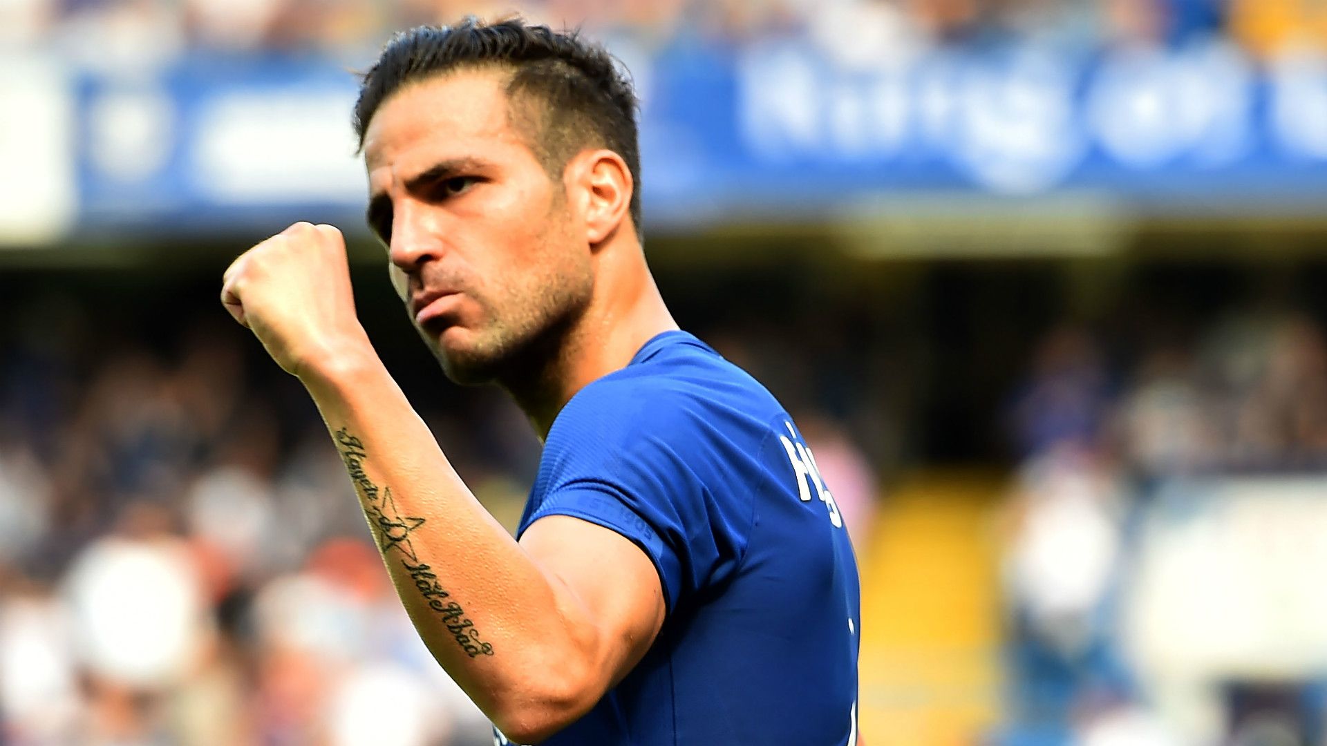 Cesc Fabregas Chelsea