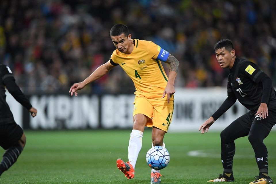 ทิม เคฮิลล์