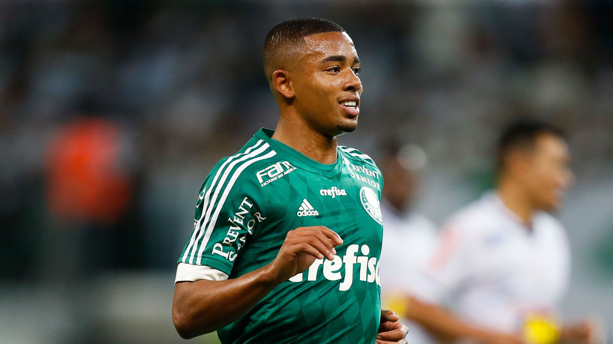 Gabriel Jesus Palmeiras 22112015