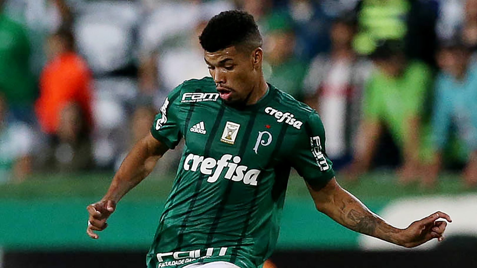 Juninho Coritiba Palmeiras Brasileirao Serie A 07062017