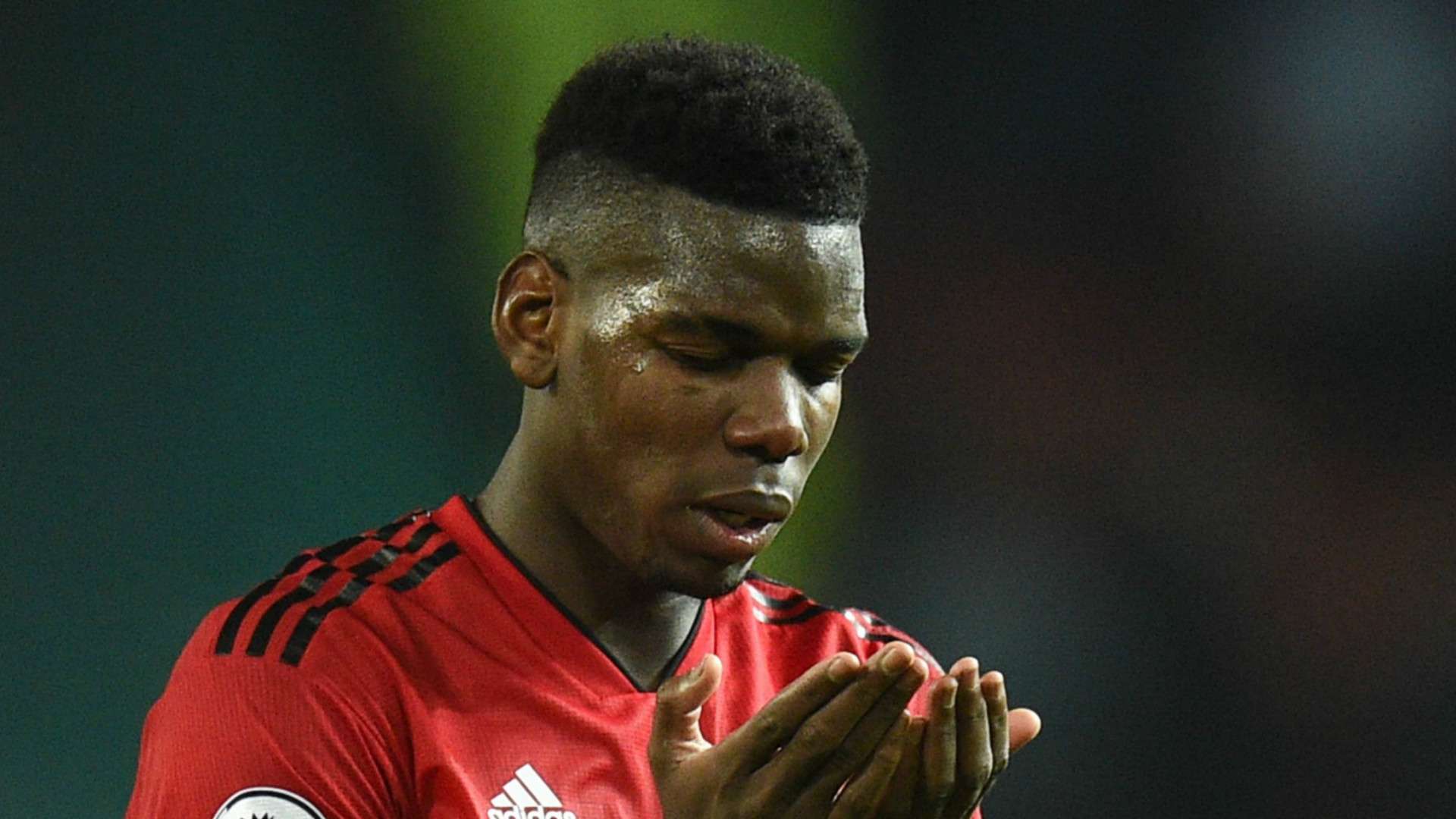 Paul Pogba Manchester United 2018-19