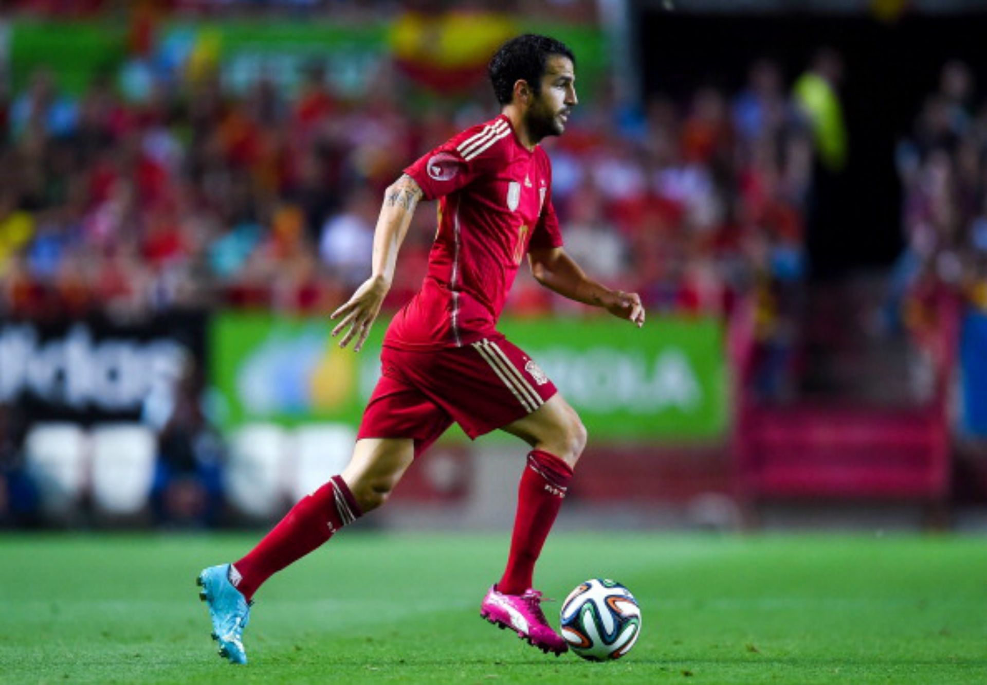 CESC FABREGAS SPAIN 2014 WORLD CUP GROUP B 06132014