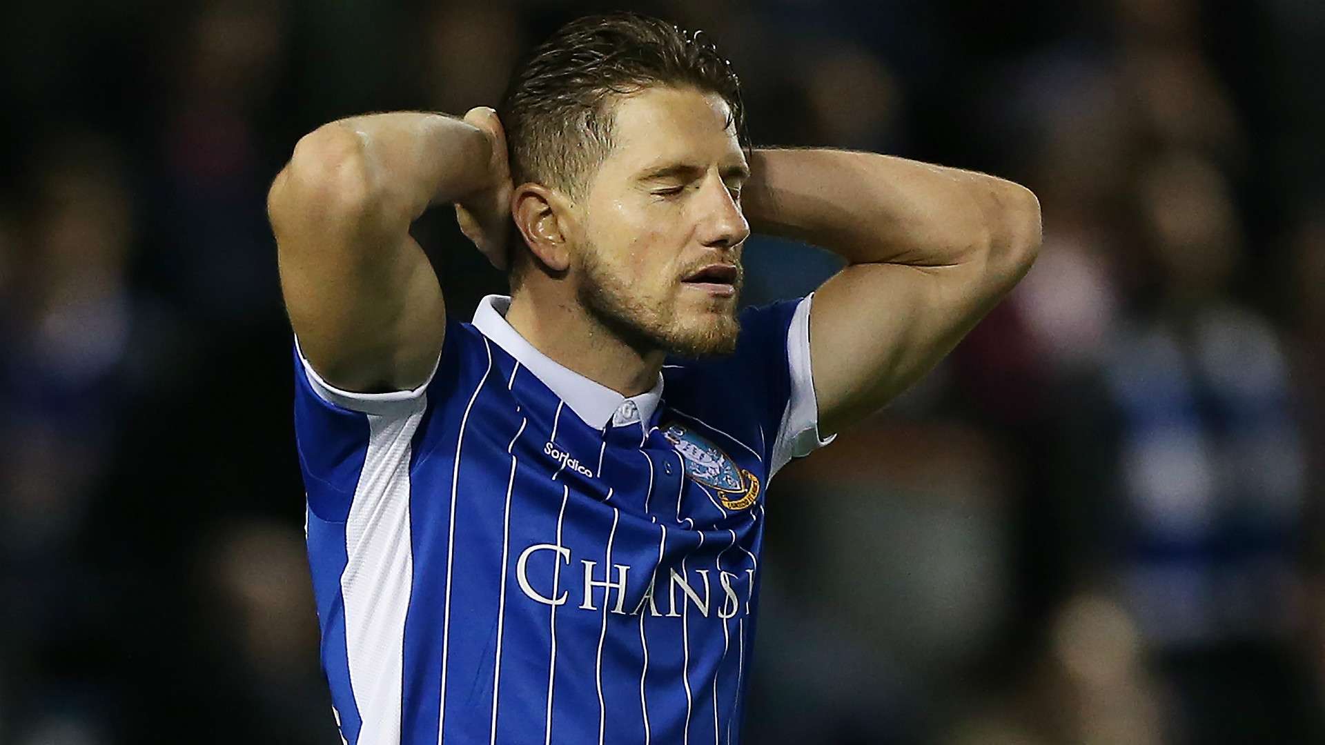 Sam Hutchinson Sheffield Wednesday Championship