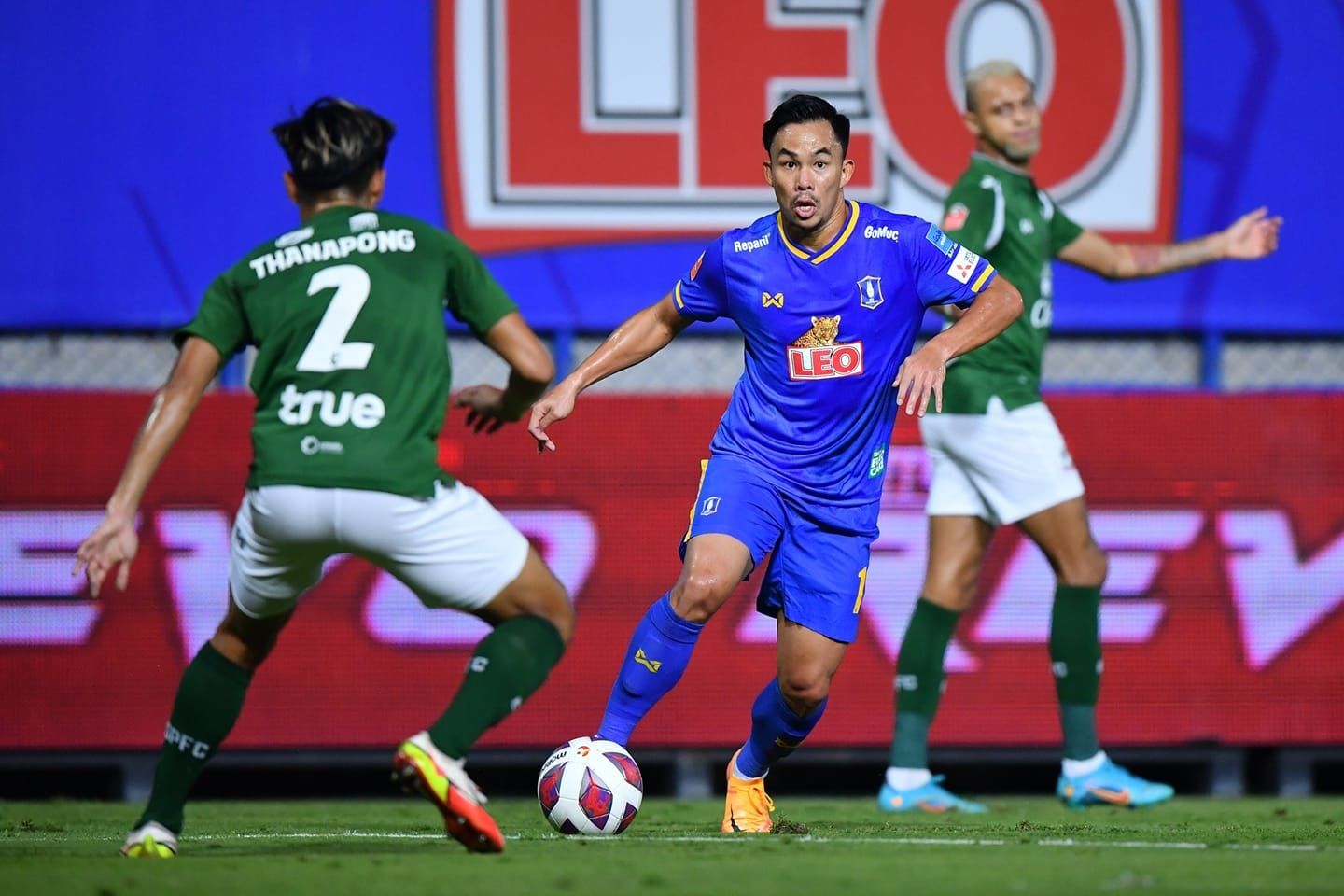 สุมัญญา ปุริสาย