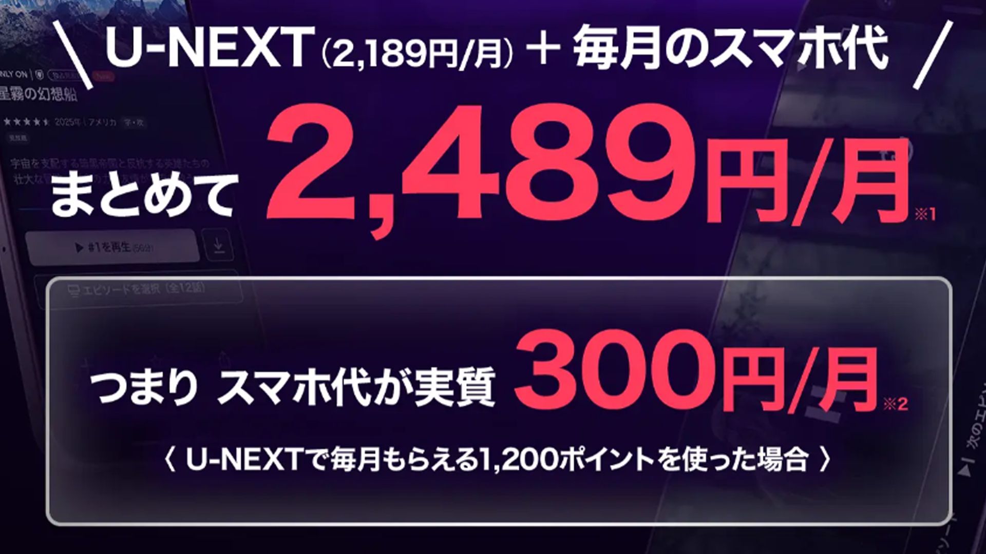 U-NEXT MOBILE set price