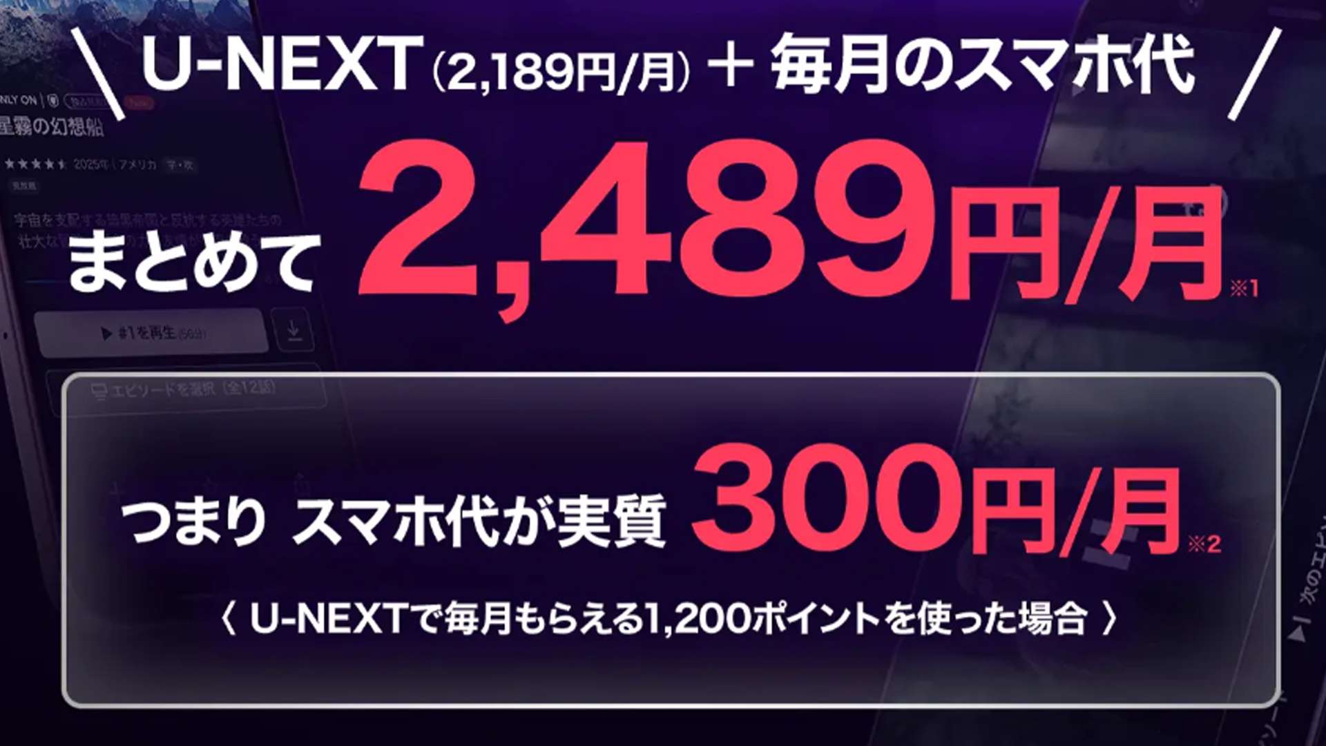 U-NEXT MOBILE set price