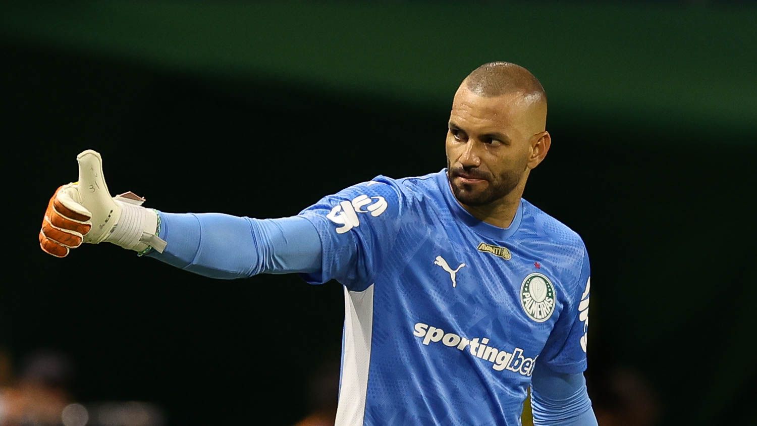 Weverton, Palmeiras, 2025