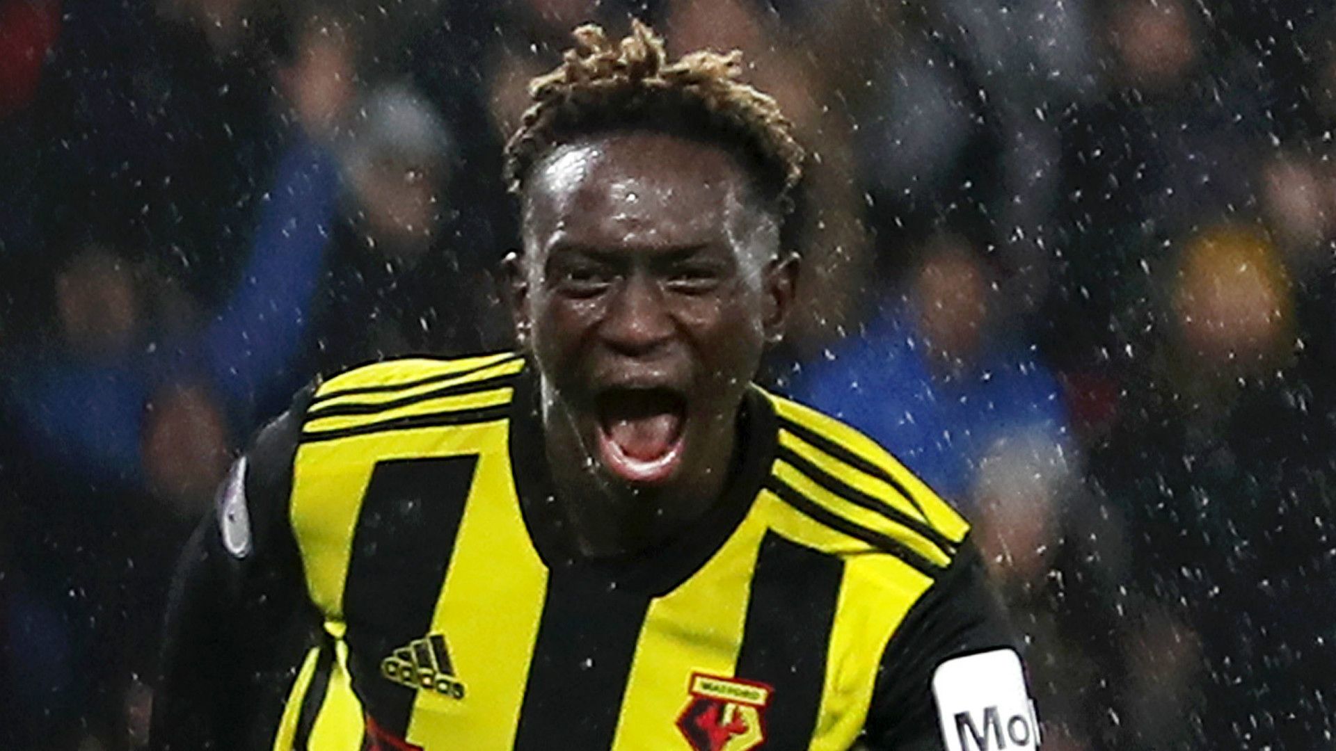 Domingos Quina Watford2018-19