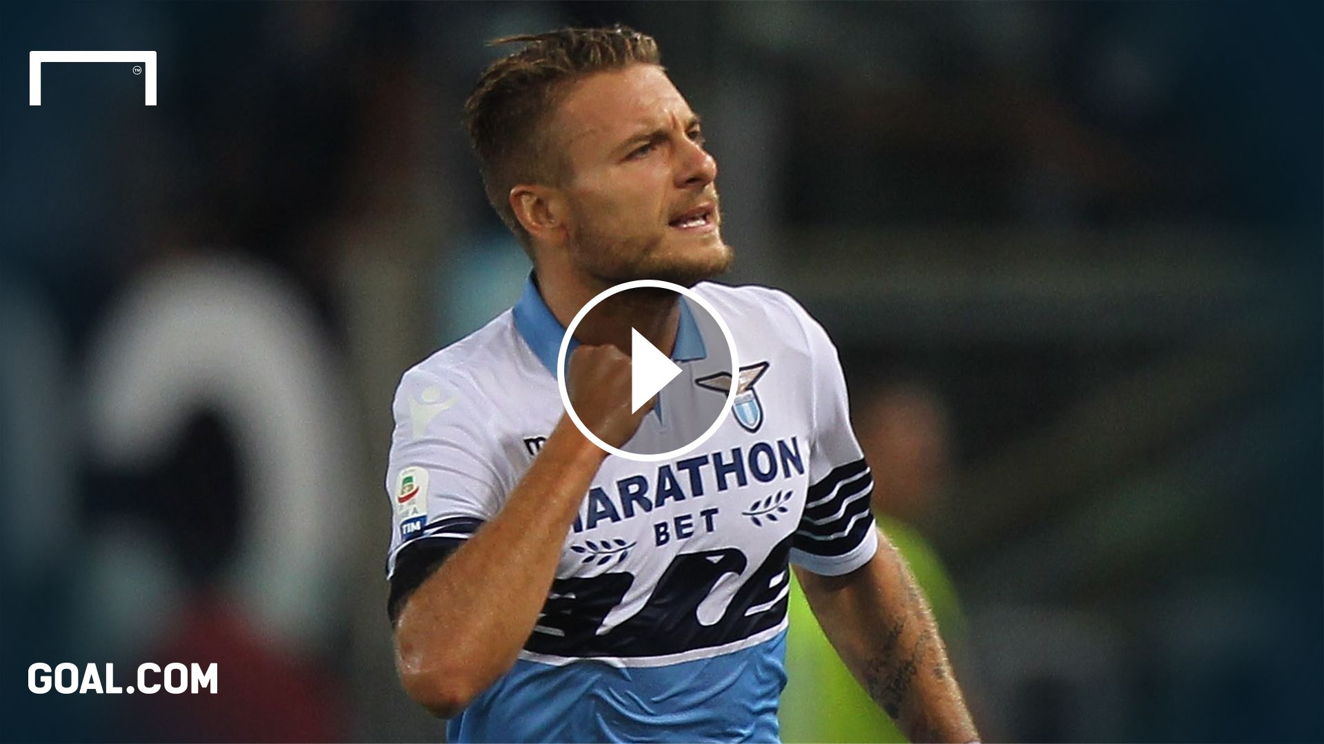 GFX Immobile
