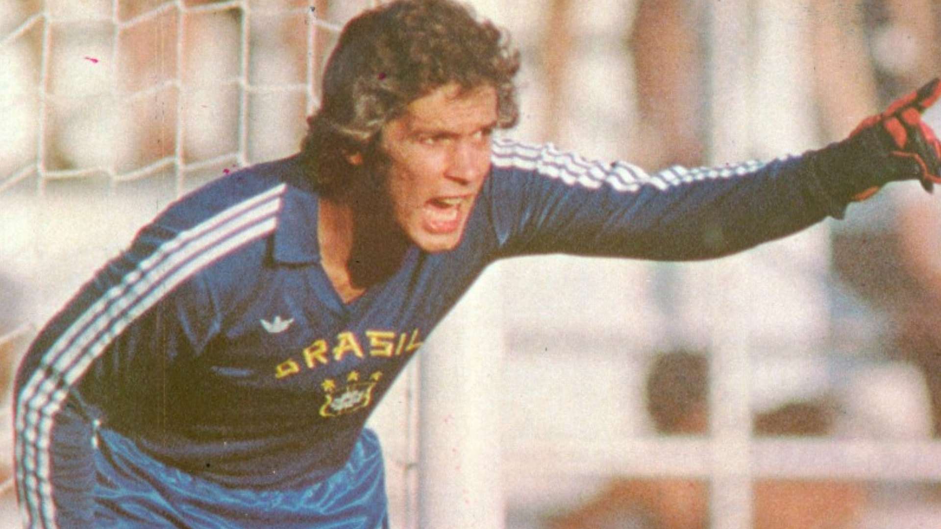 Emerson Leão Brasil seleção brasileira