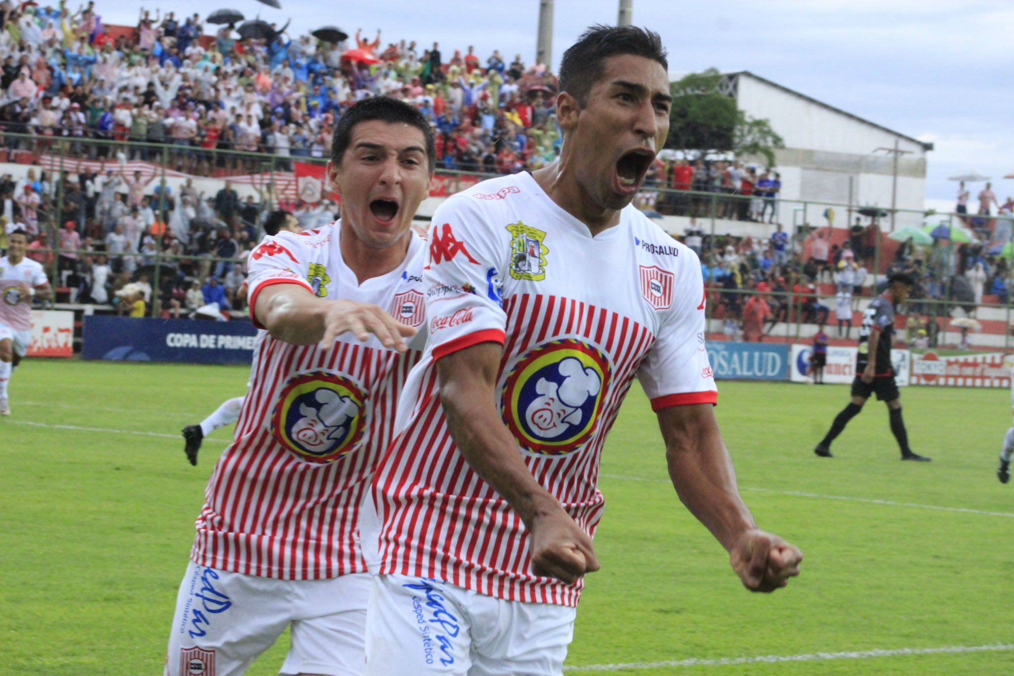 Rayadito Festejo (Paraguay) 16-12-19