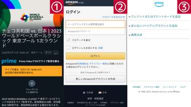 WBC czech japan 2023