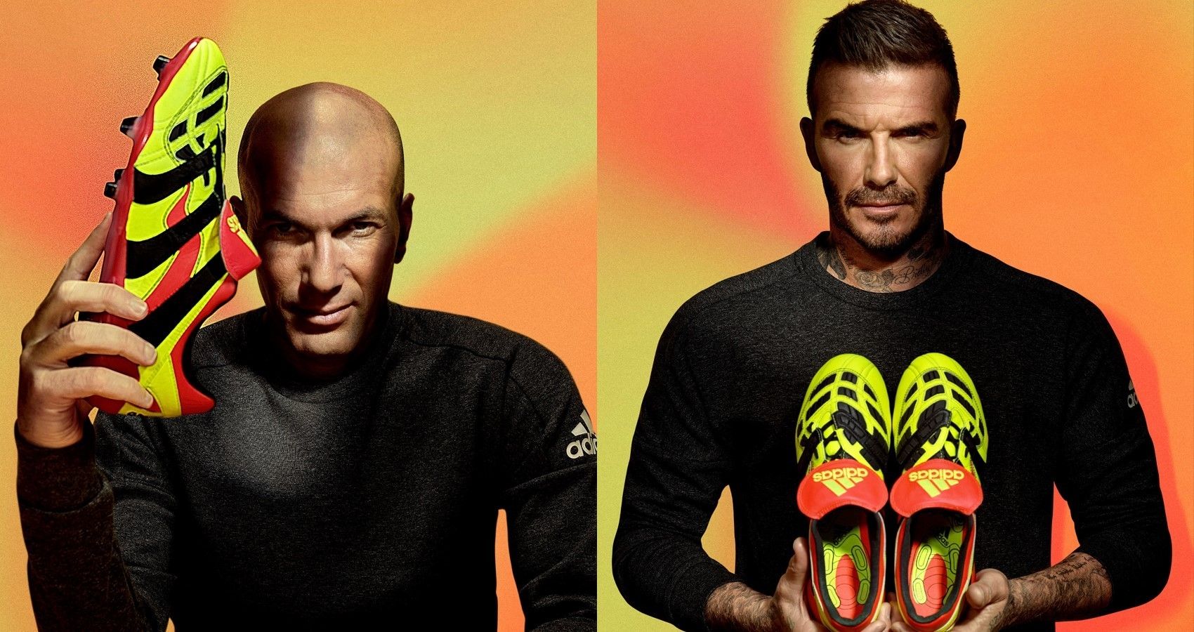 Predator Accelerator Electricity