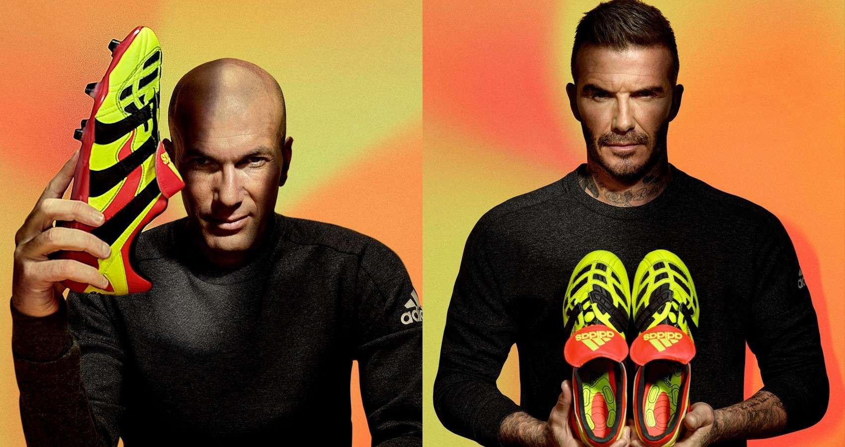 Predator Accelerator Electricity