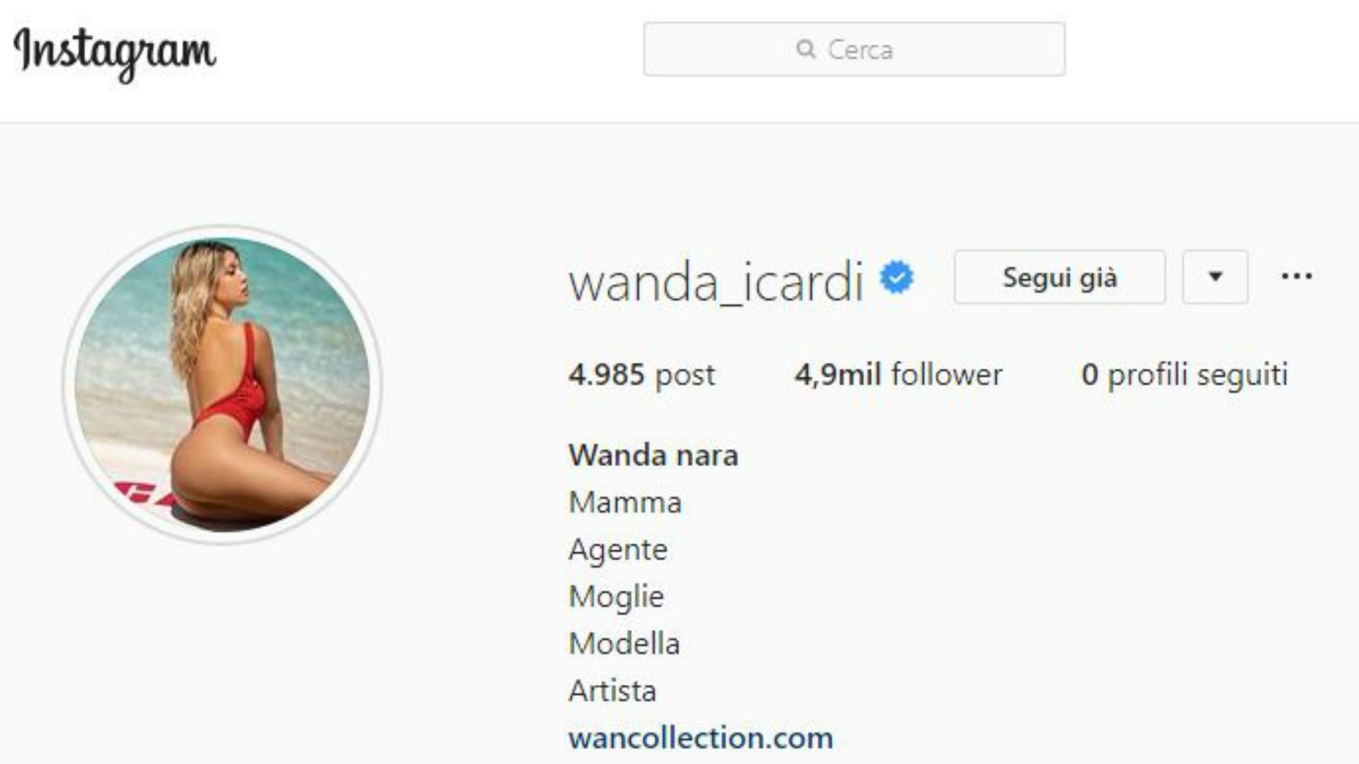 Wanda Nara Instagram