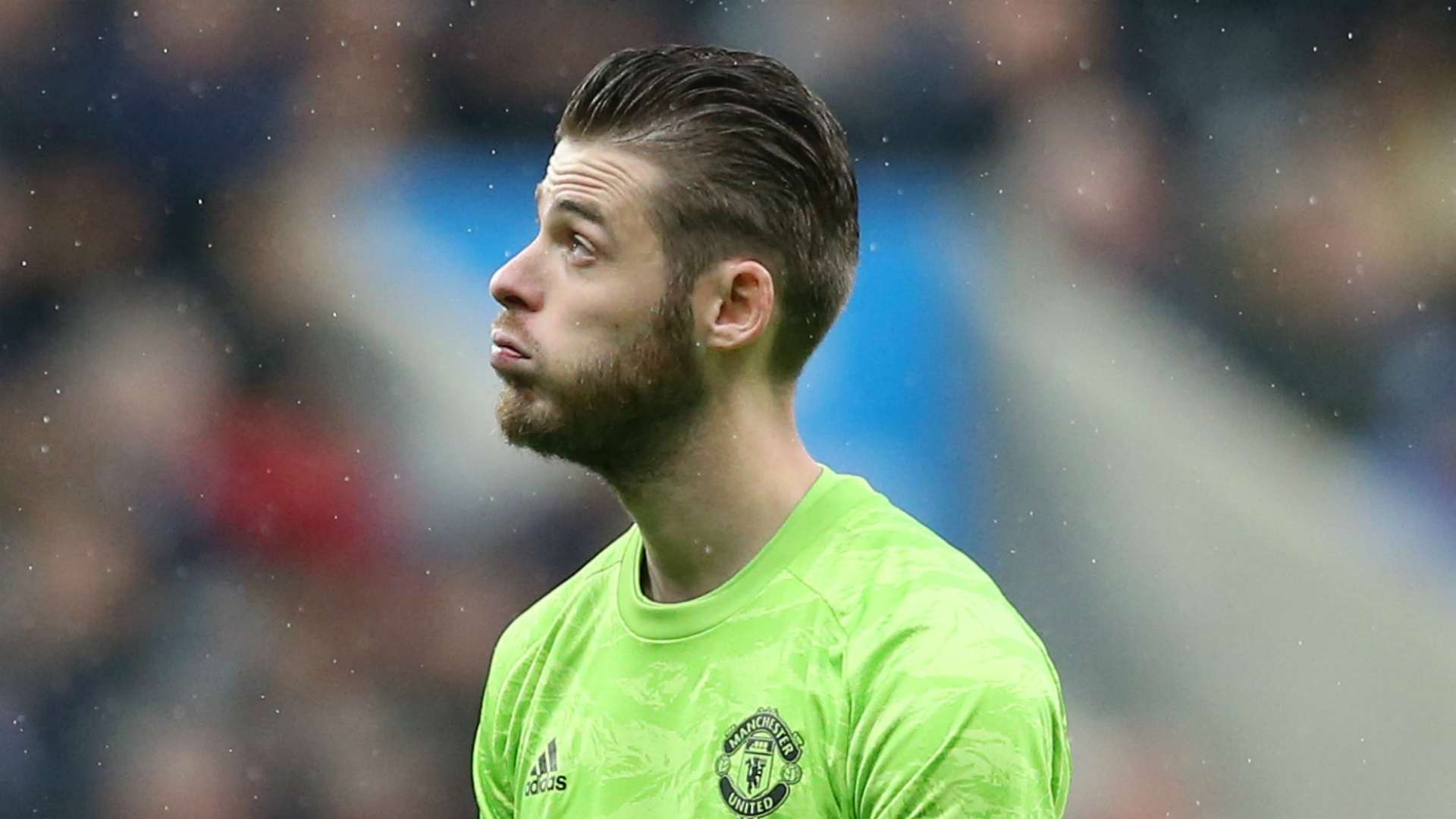 degea-cropped