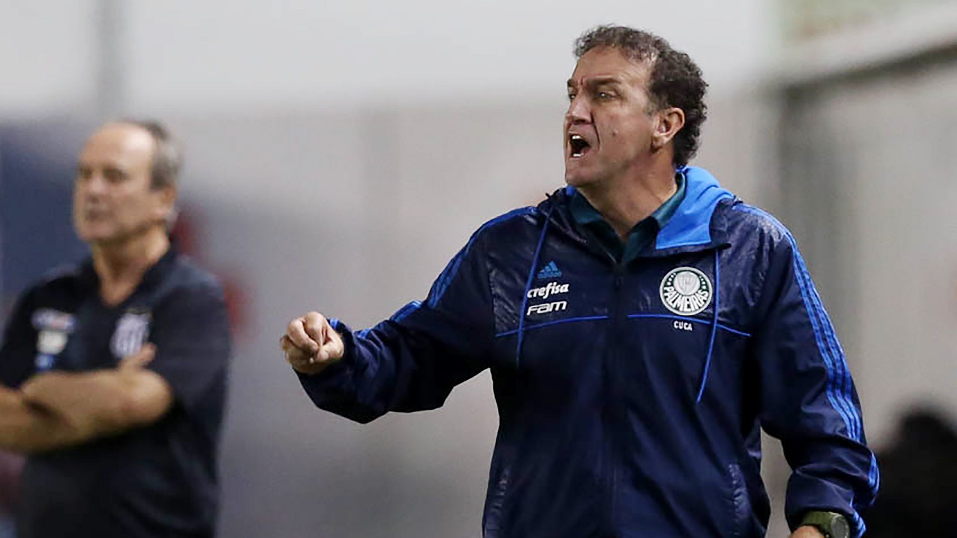 Cuca Santos Palmeiras Brasileirao Serie A 14062017