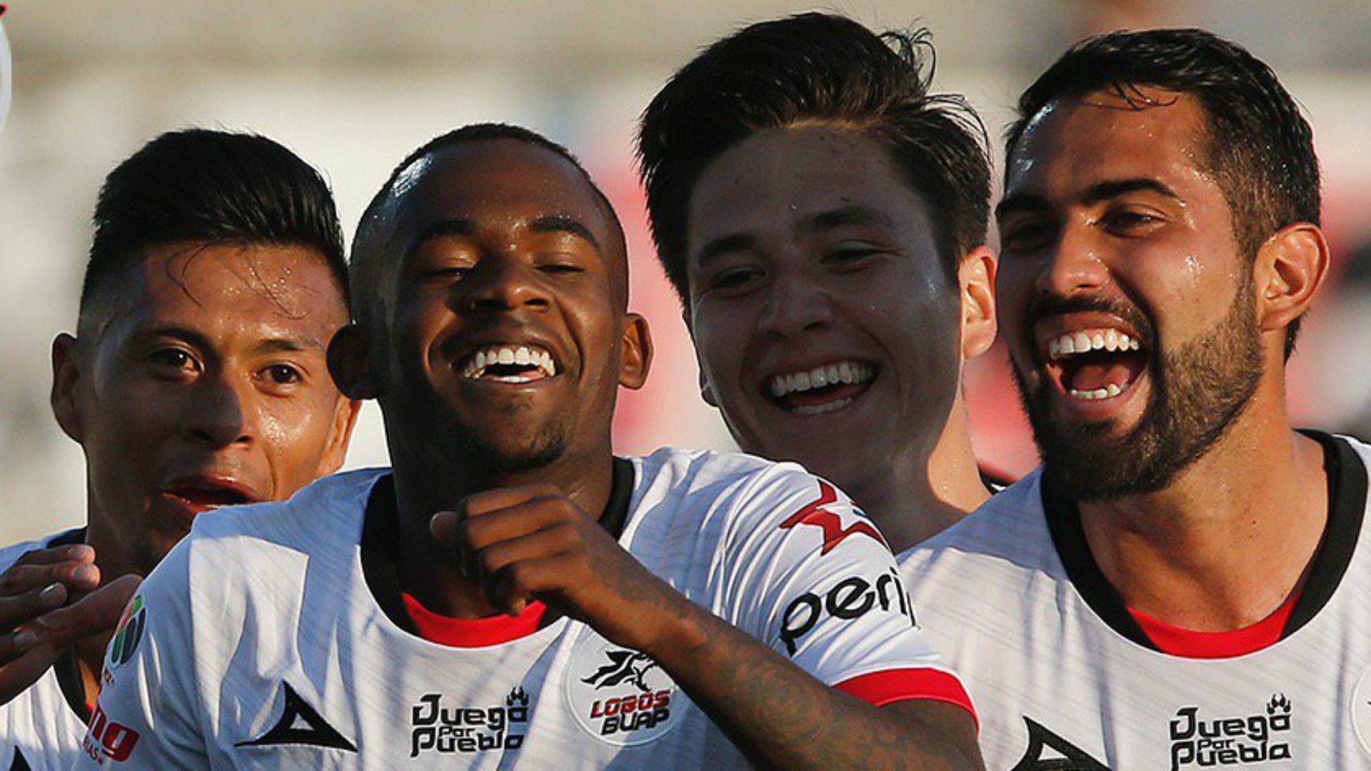 Lobos BUAP