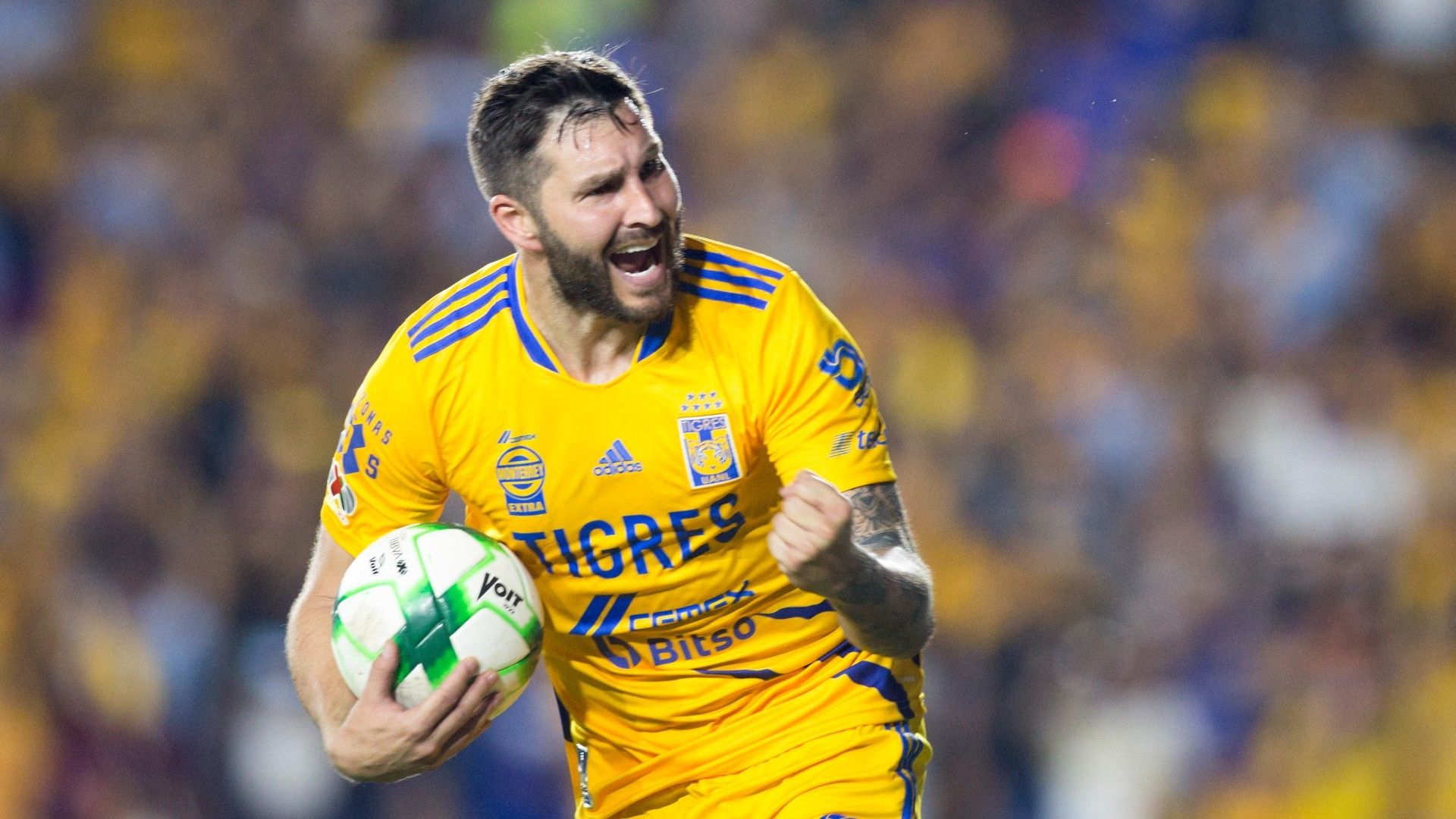 André-Pierre Gignac Tigres Clausura 2022