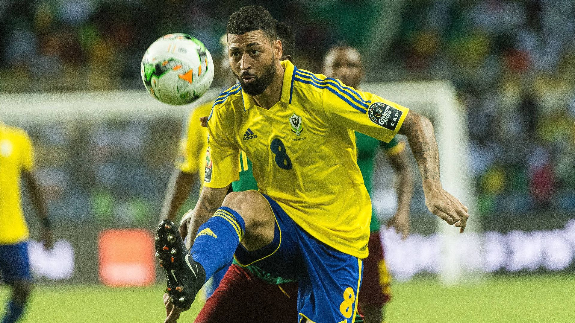 GERMANY ONLY: LLOYD PALUN GABON
