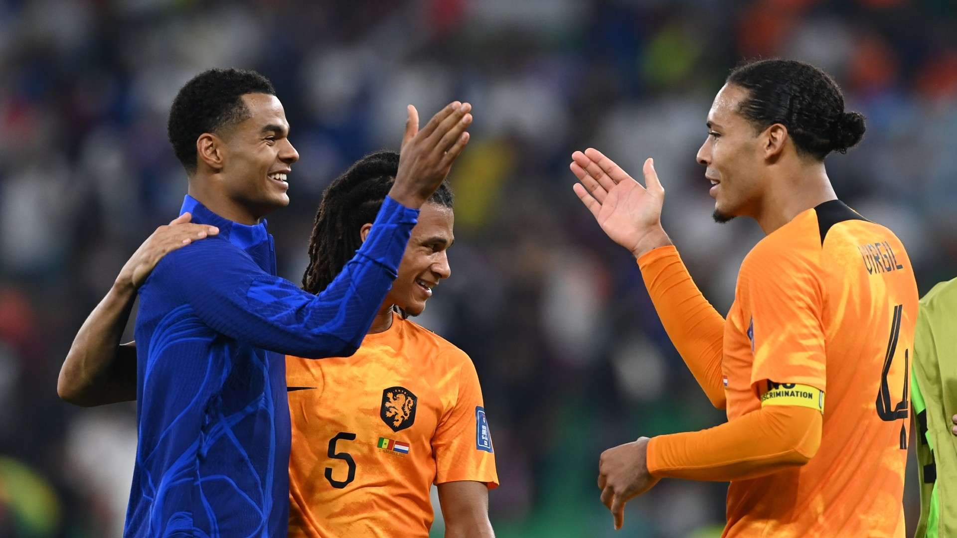 Cody Gakpo Virgil Van Dijk Netherlands 2022-23