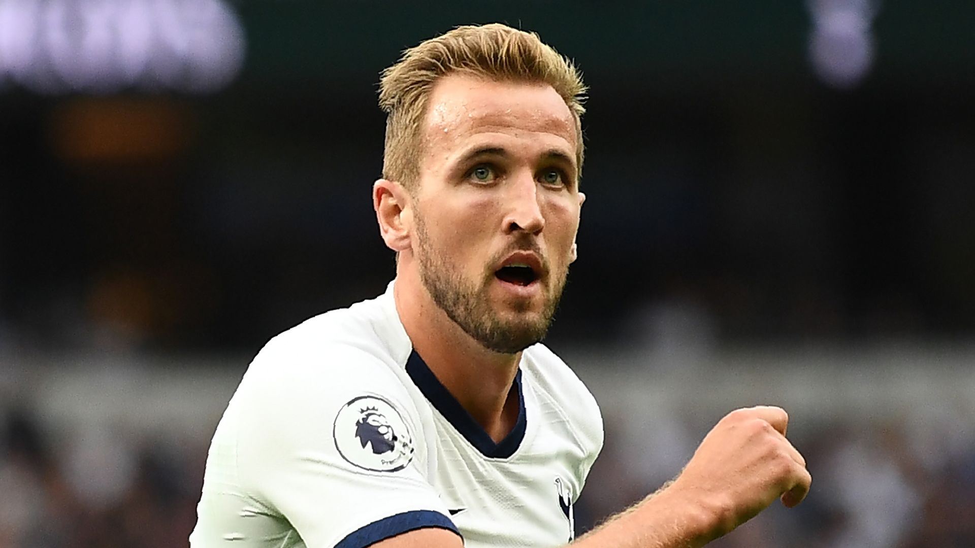 Harry Kane Tottenham 2019