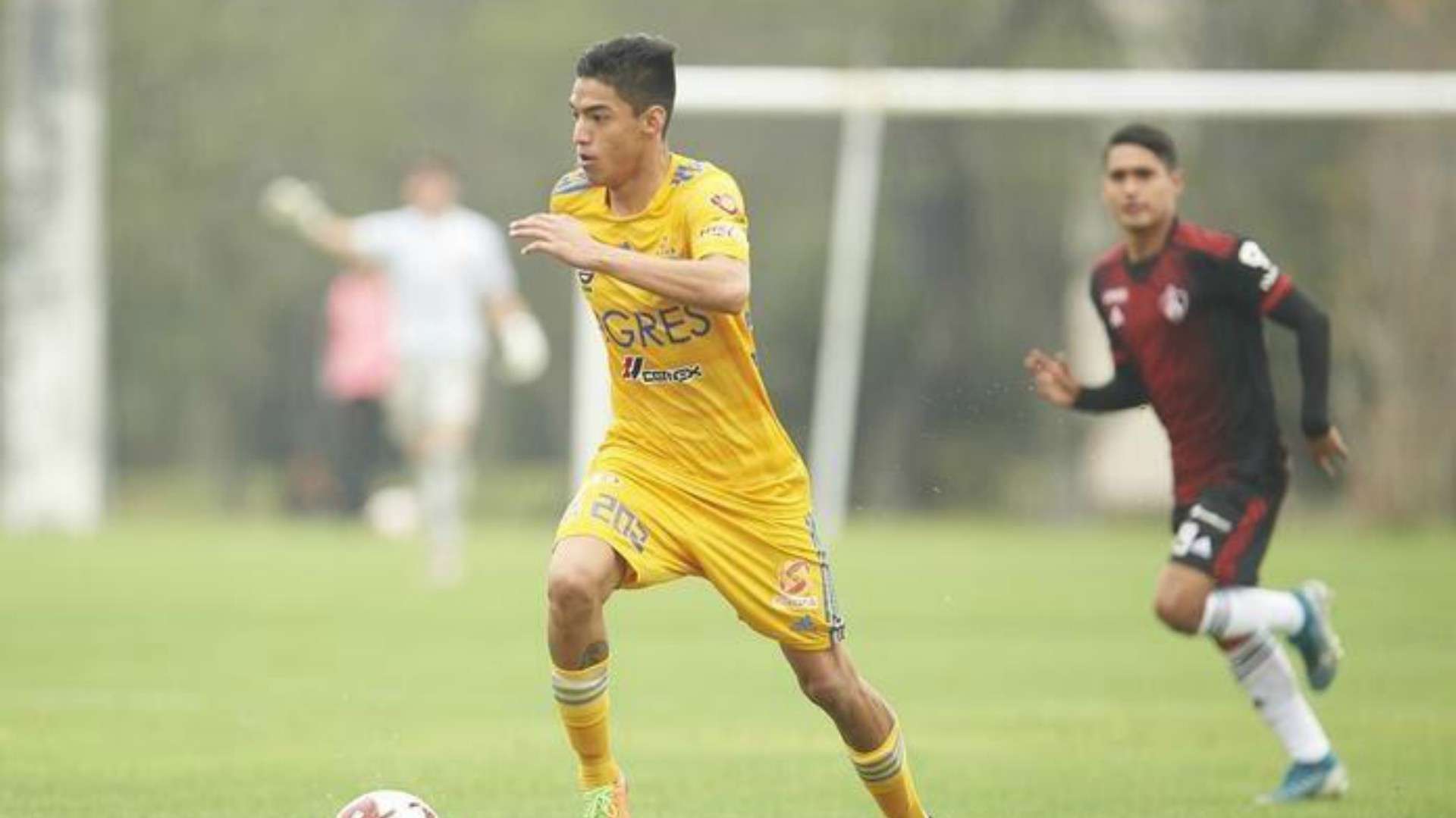 Raymundo Fulgencio Tigres
