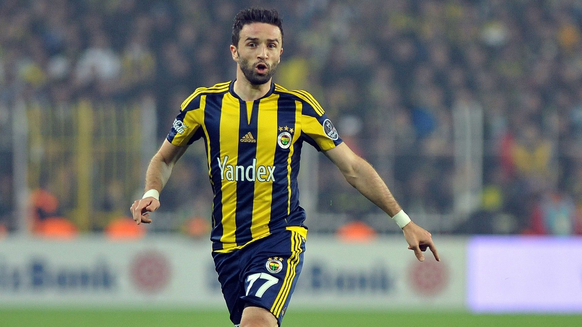 Gokhan Gonul - Fenerbahce