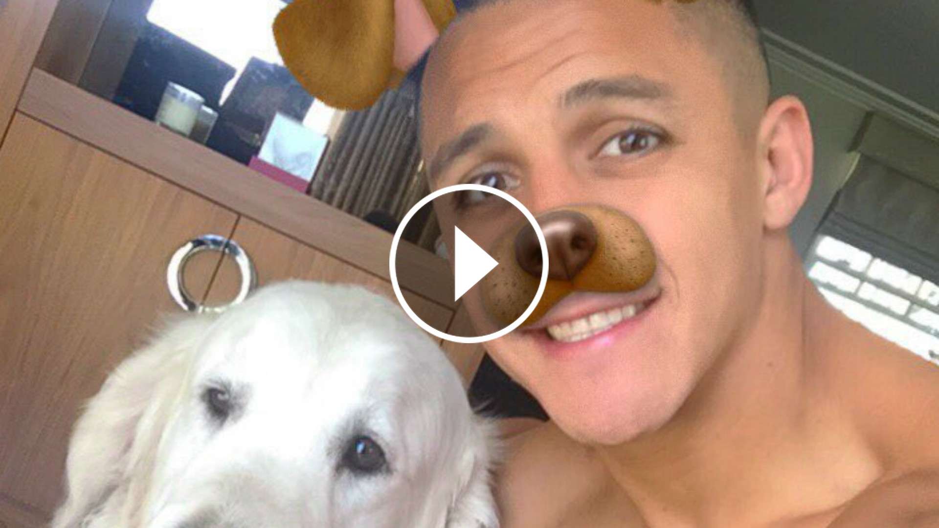 video Alexis Sanchez perro