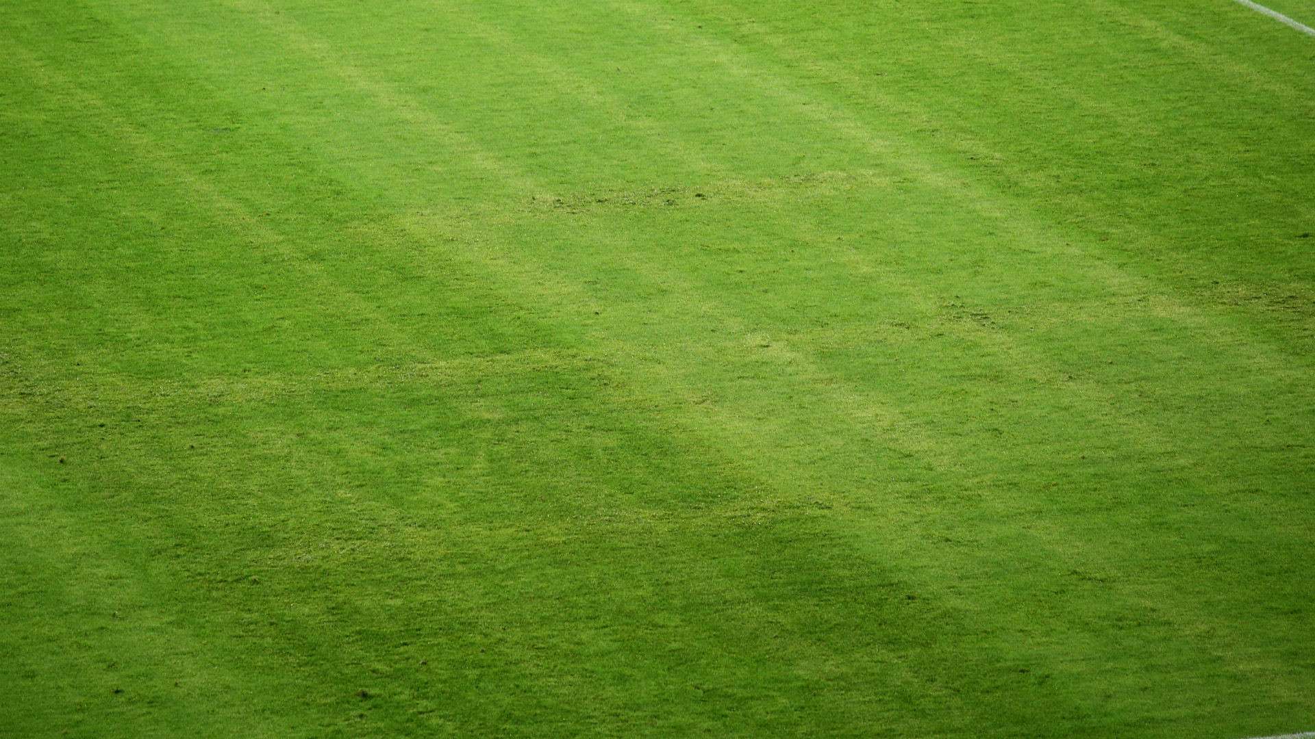 Swastika Croatia Italy 12062015