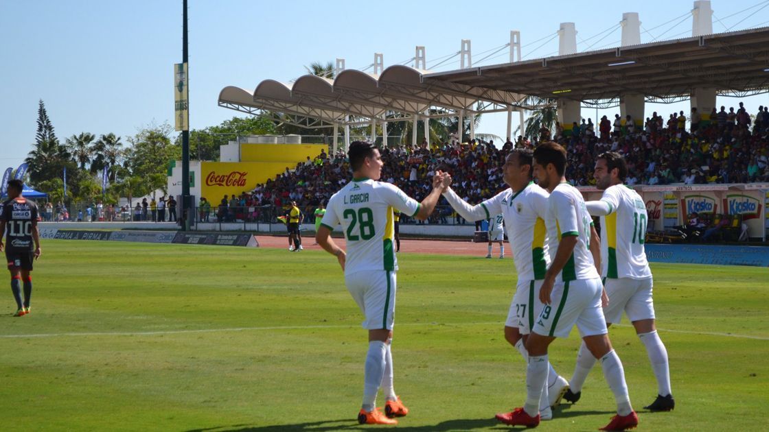 Loros de Colima Festejo