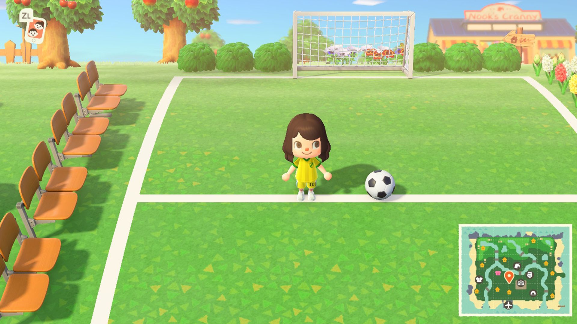 Animal Crossing New Horizons football pitch