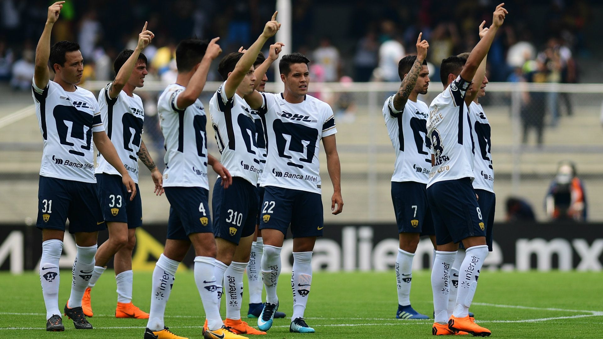 Pumas Clausura 2018