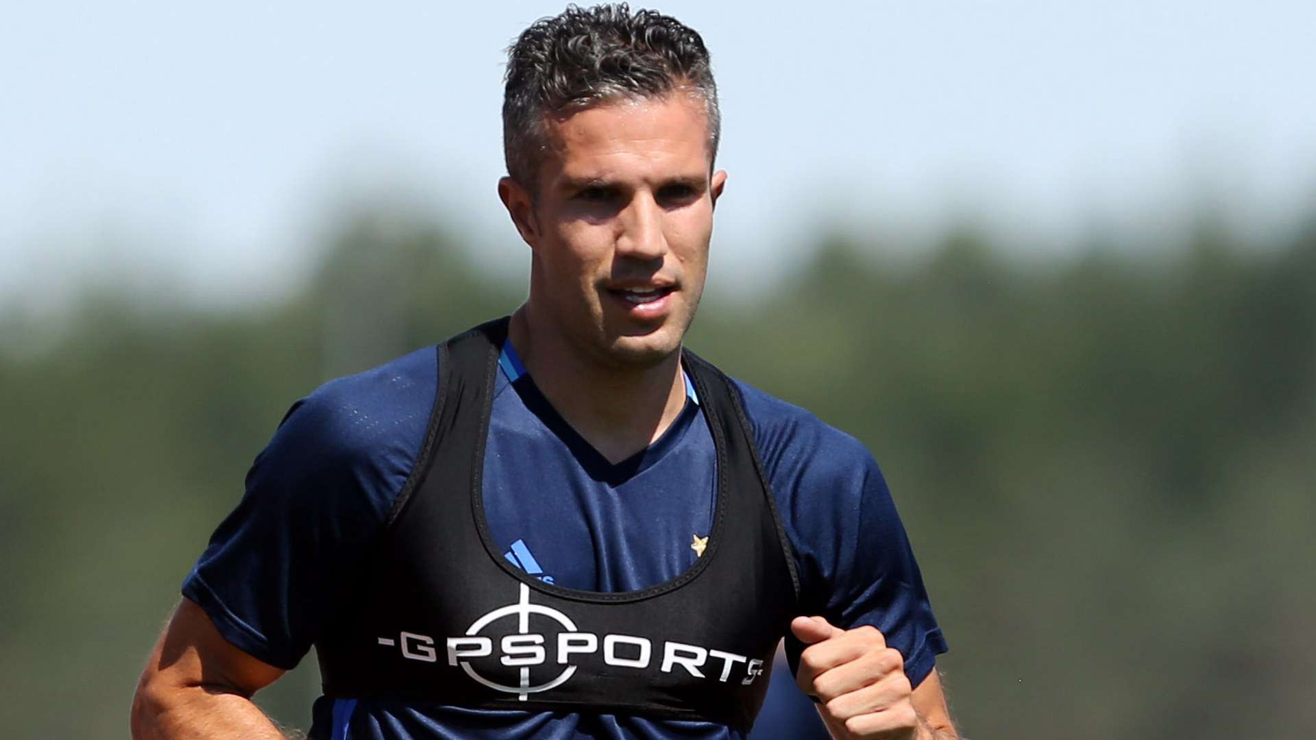 Robin van Persie Fenerbahce