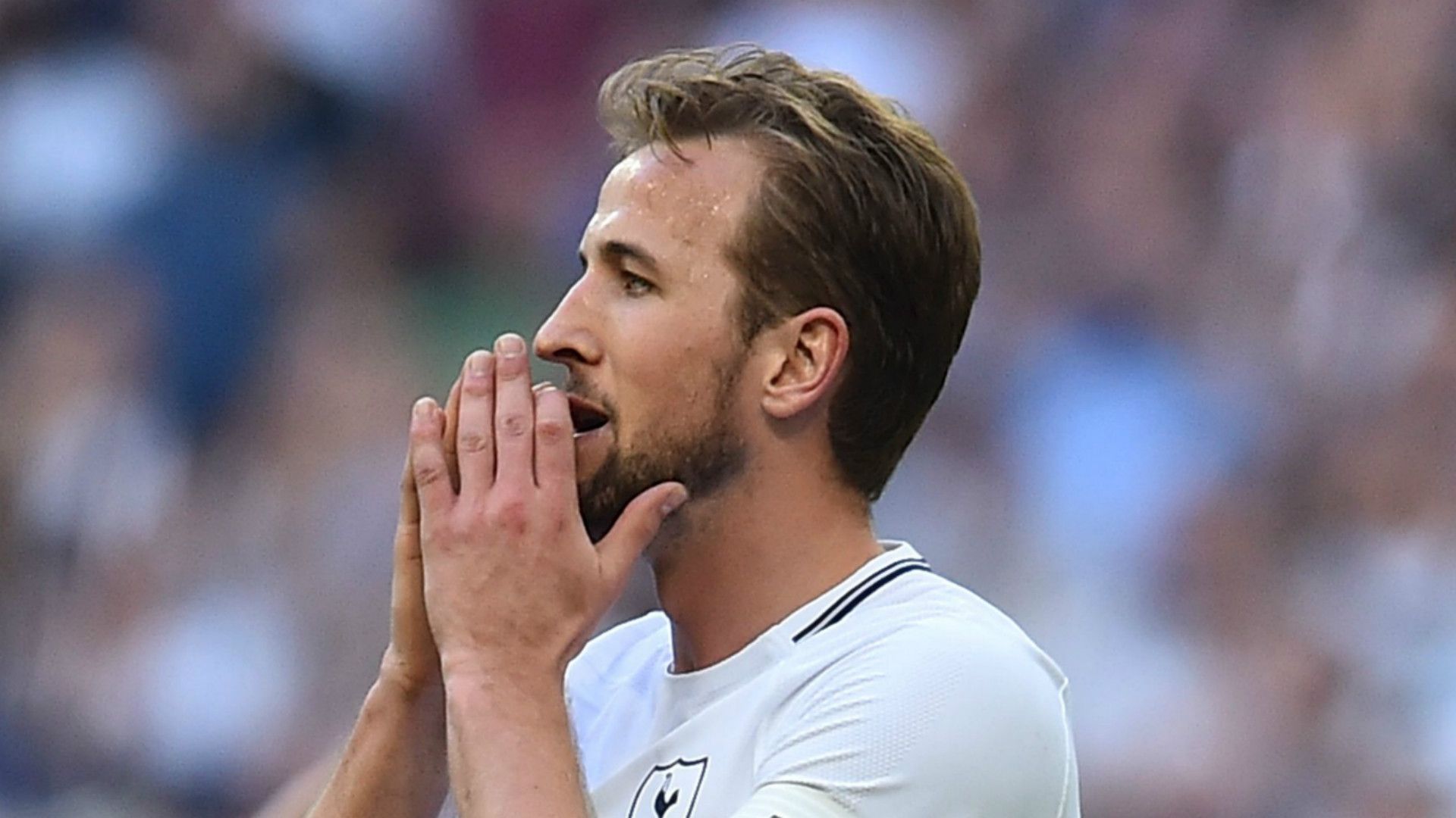Harry Kane Tottenham