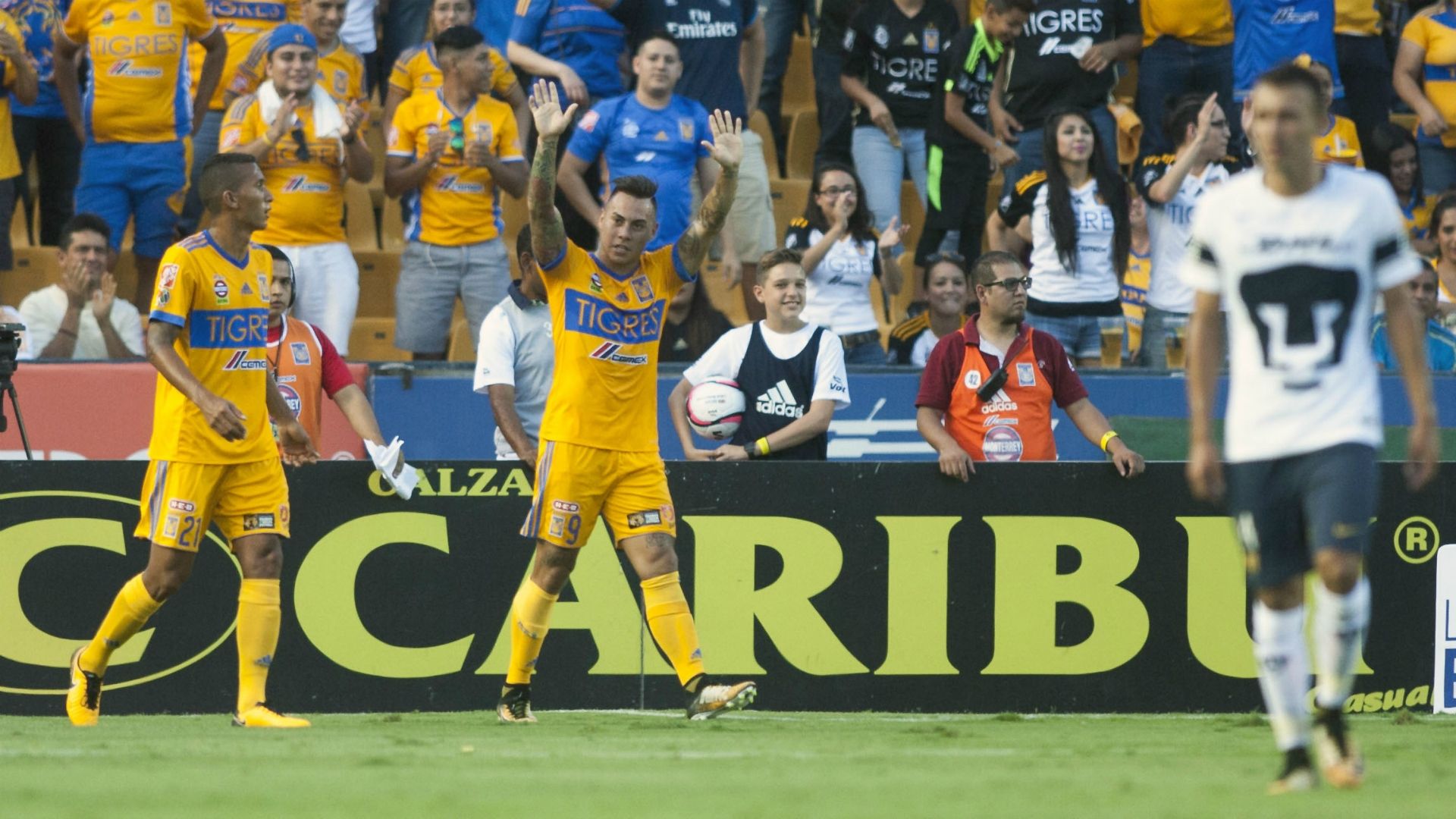 Eduardo Vargas Tigres